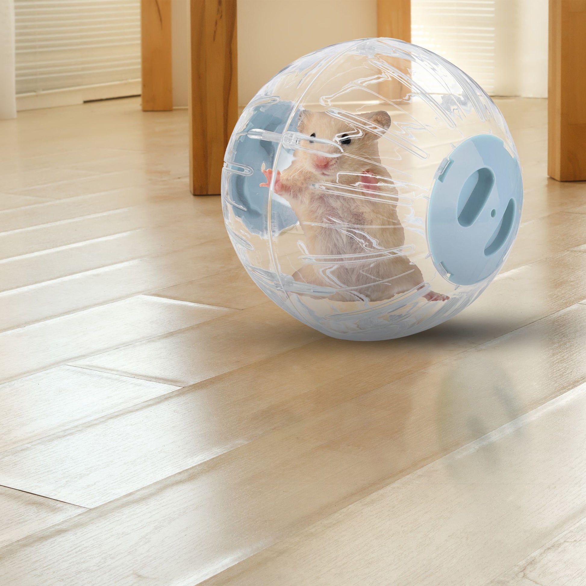 Hamsterball mit hellblauem Deckel Hellblau-Transparent von Relaxdays