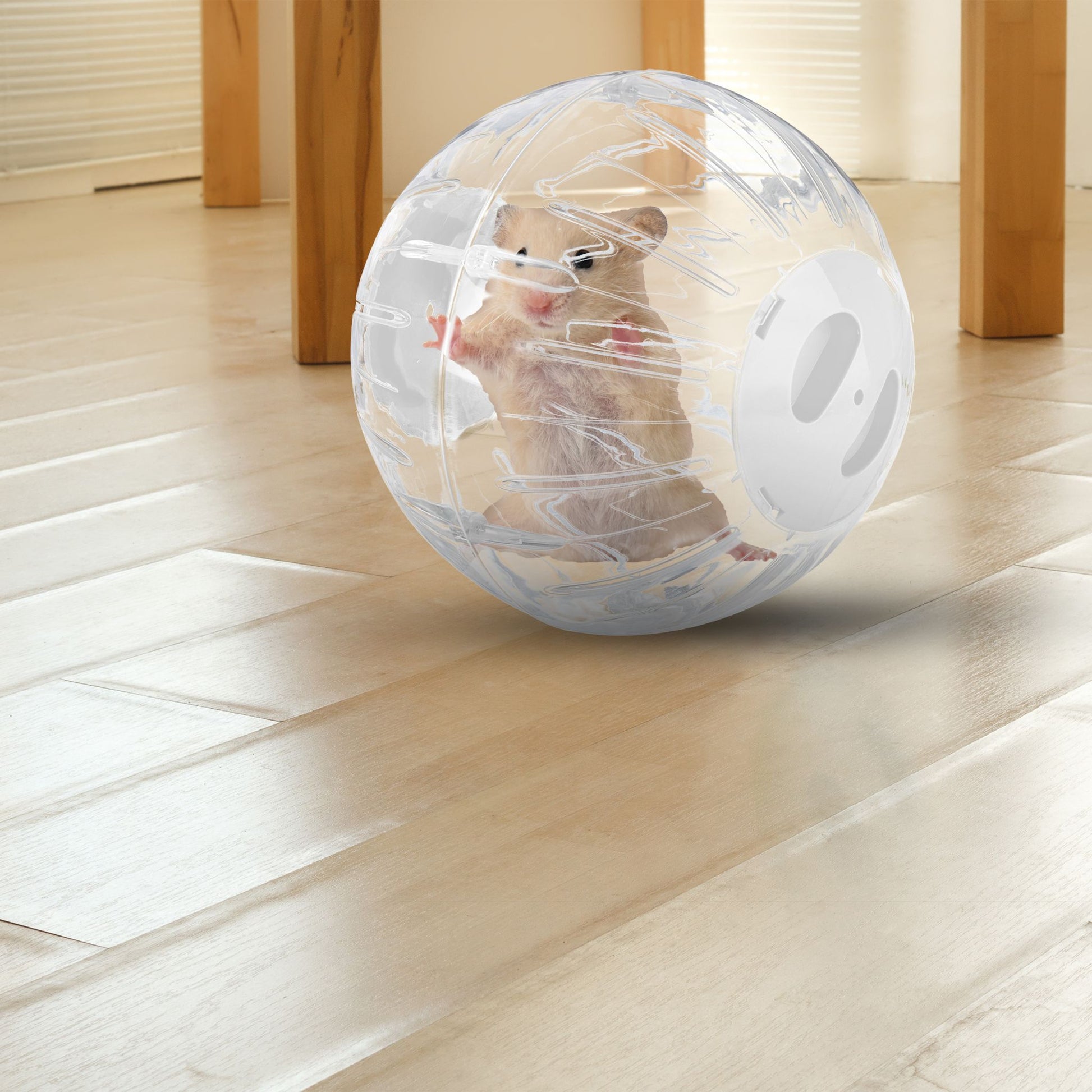 Hamsterball mit weissem Deckel Weiss-Transparent von Relaxdays
