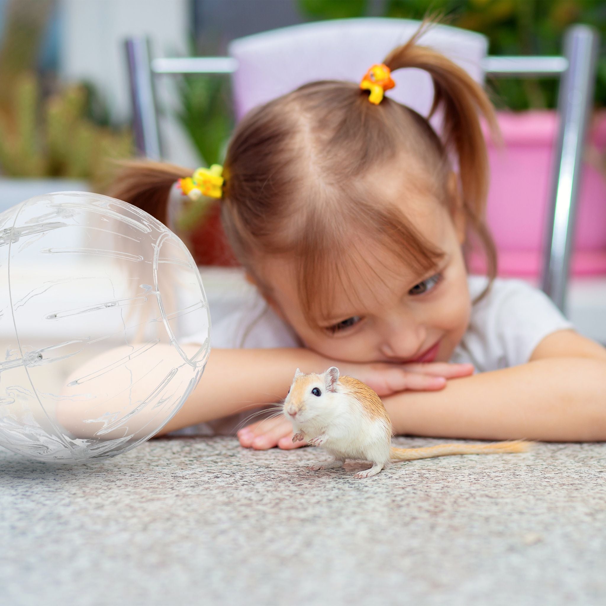 Hamsterball mit weissem Deckel Weiss-Transparent von Relaxdays