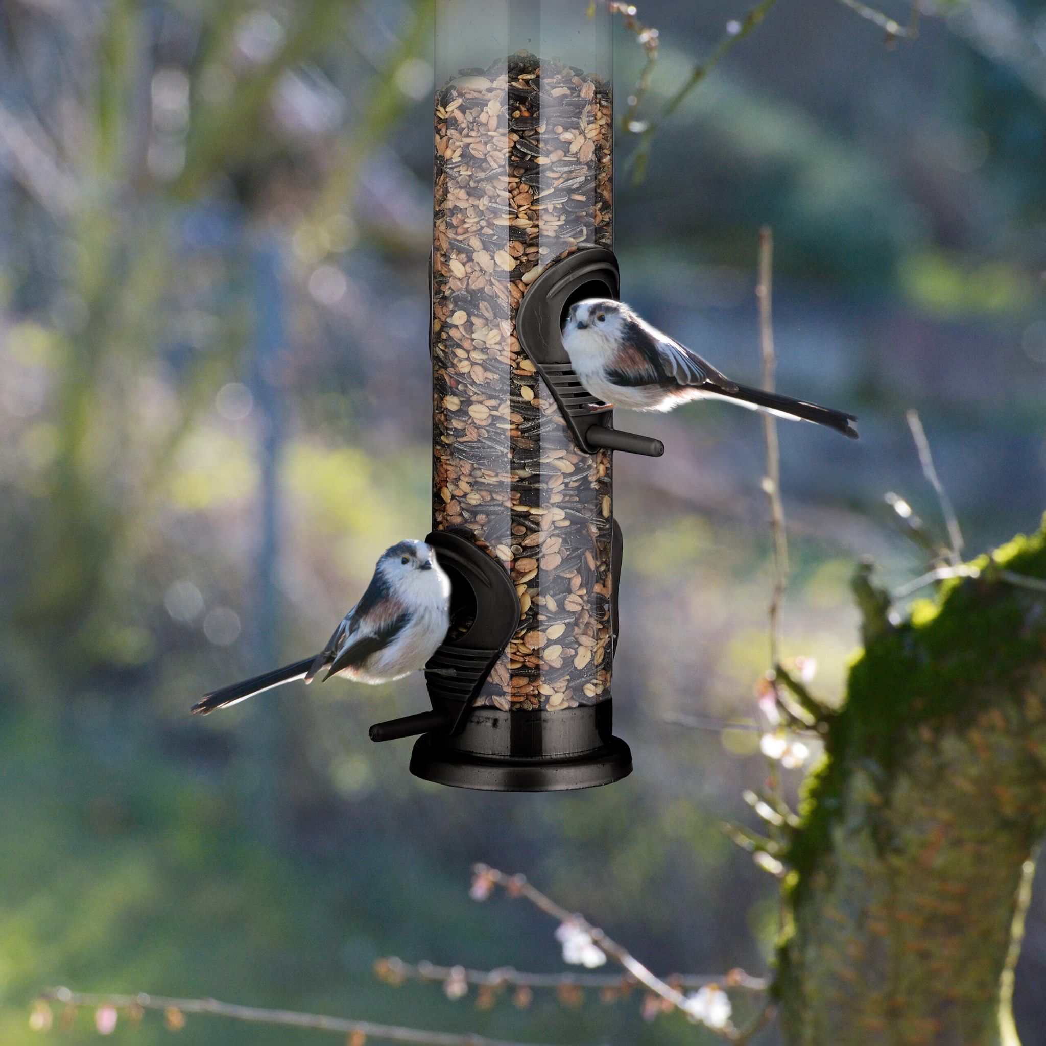 Vogelfutterspender zum Aufhängen Schwarz-Silber-Transparent von Relaxdays