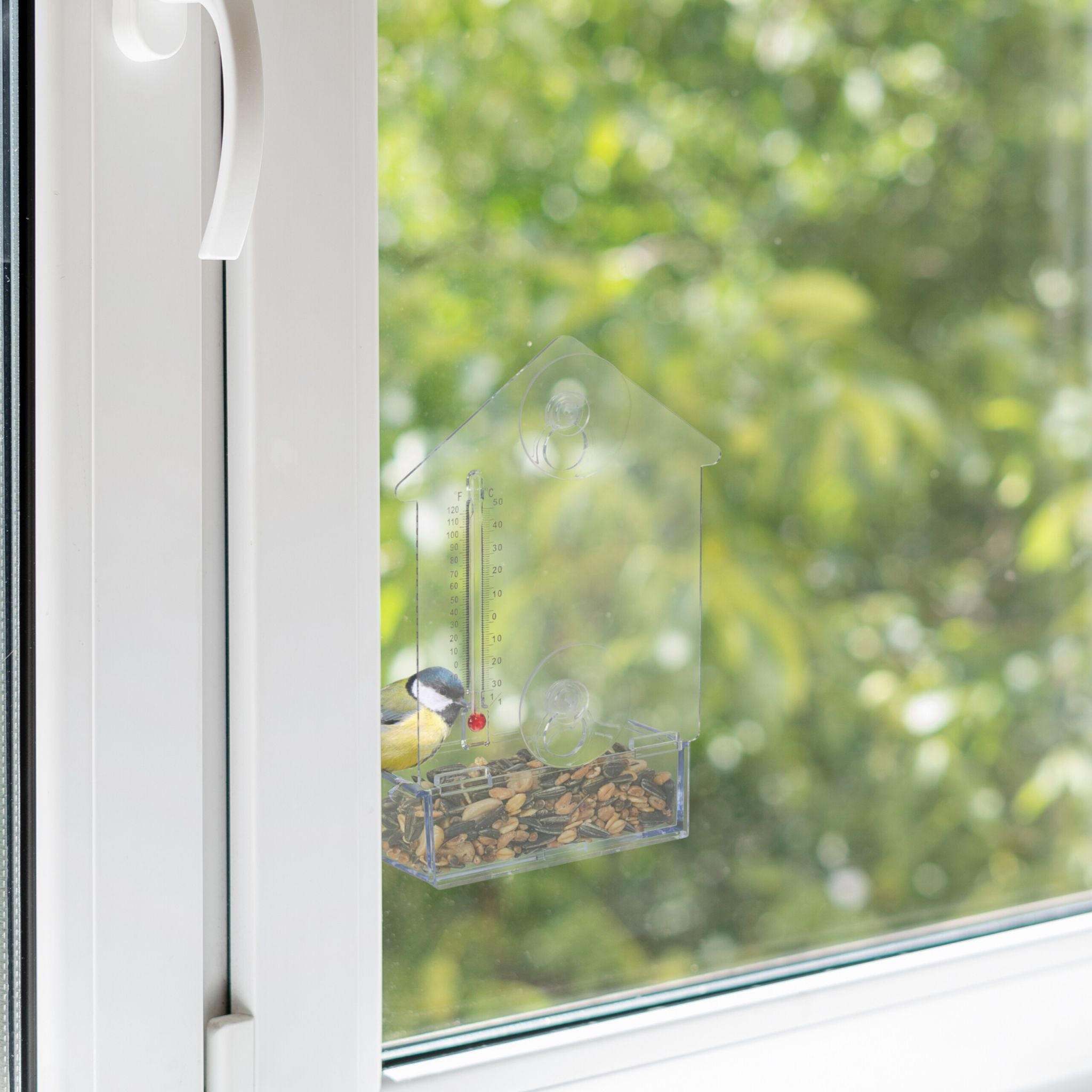 Fenster-Vogelfutterhaus mit Thermometer Rot-Transparent von Relaxdays