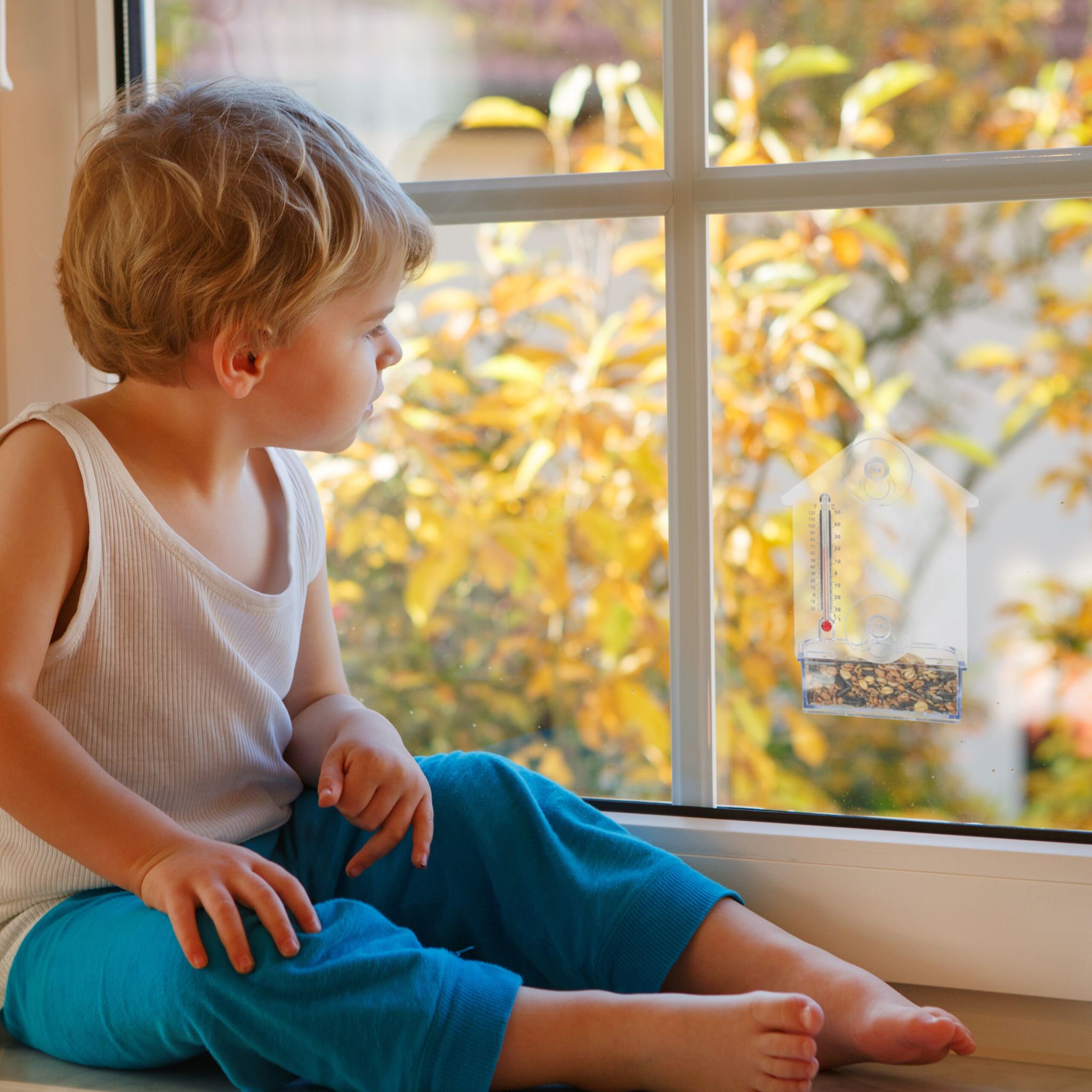 Fenster-Vogelfutterhaus mit Thermometer Rot-Transparent von Relaxdays