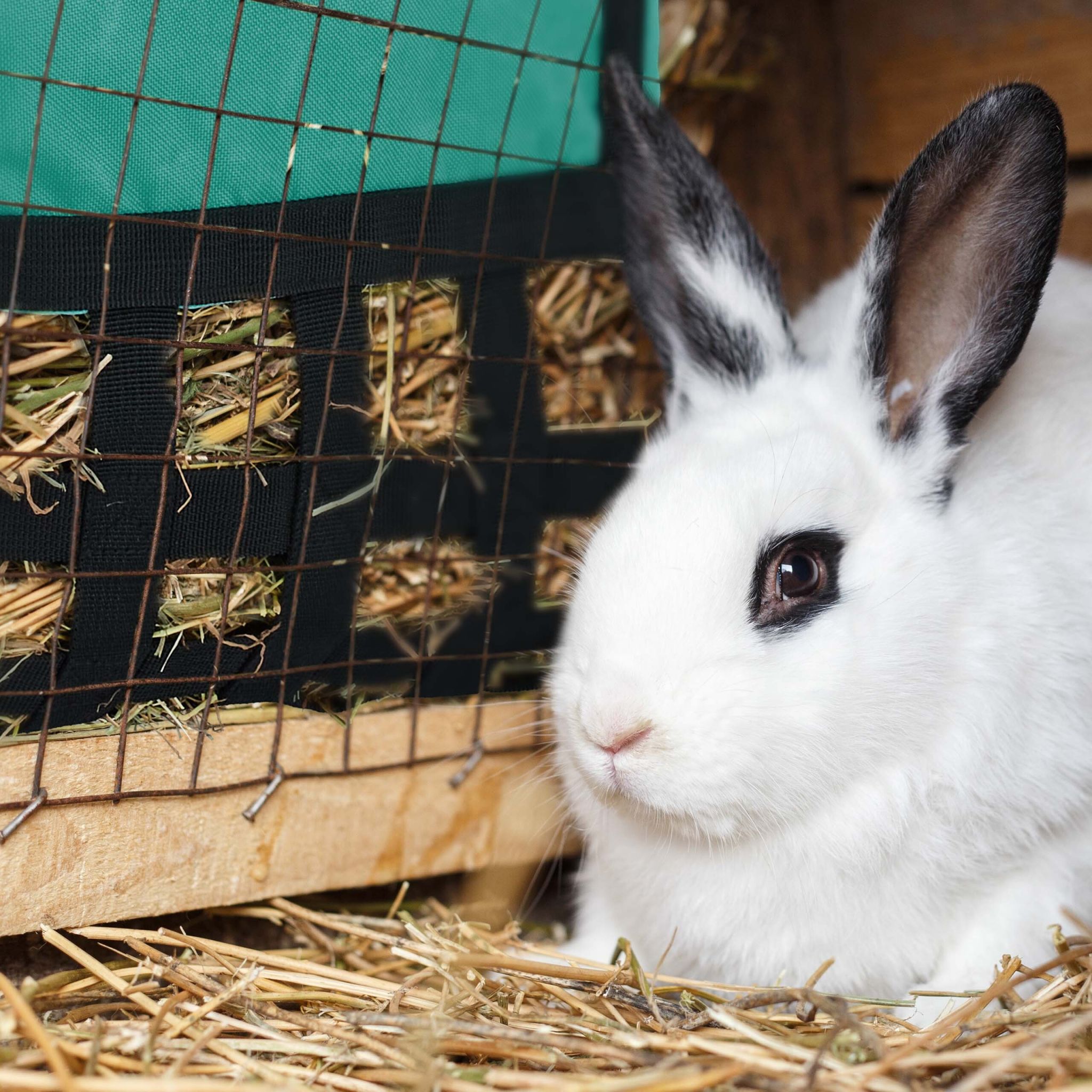 Heutasche für Kleintiere Dunkelgrün-Schwarz von Relaxdays