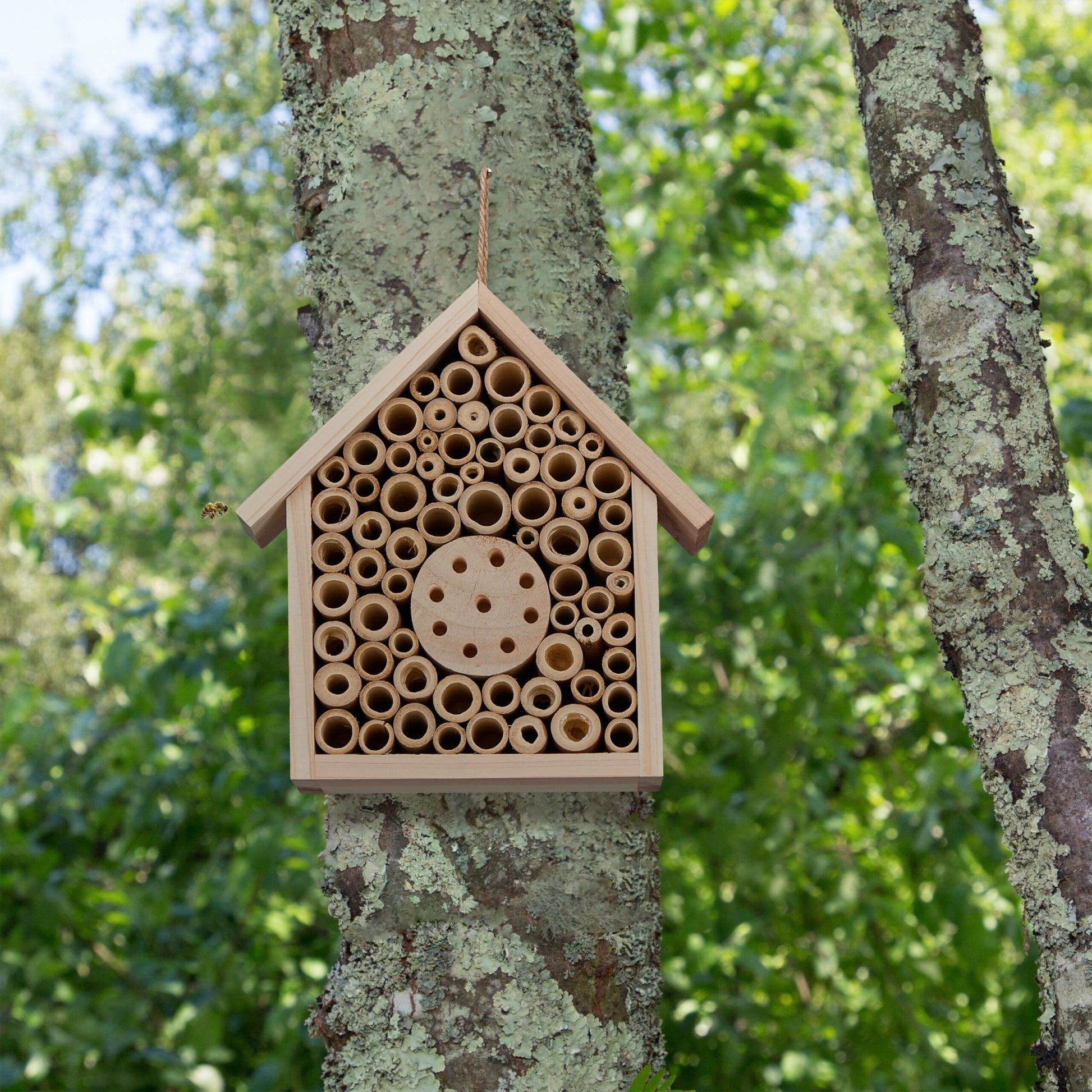 Bienenhotel unbehandeltem Holz Hellbraun von Relaxdays
