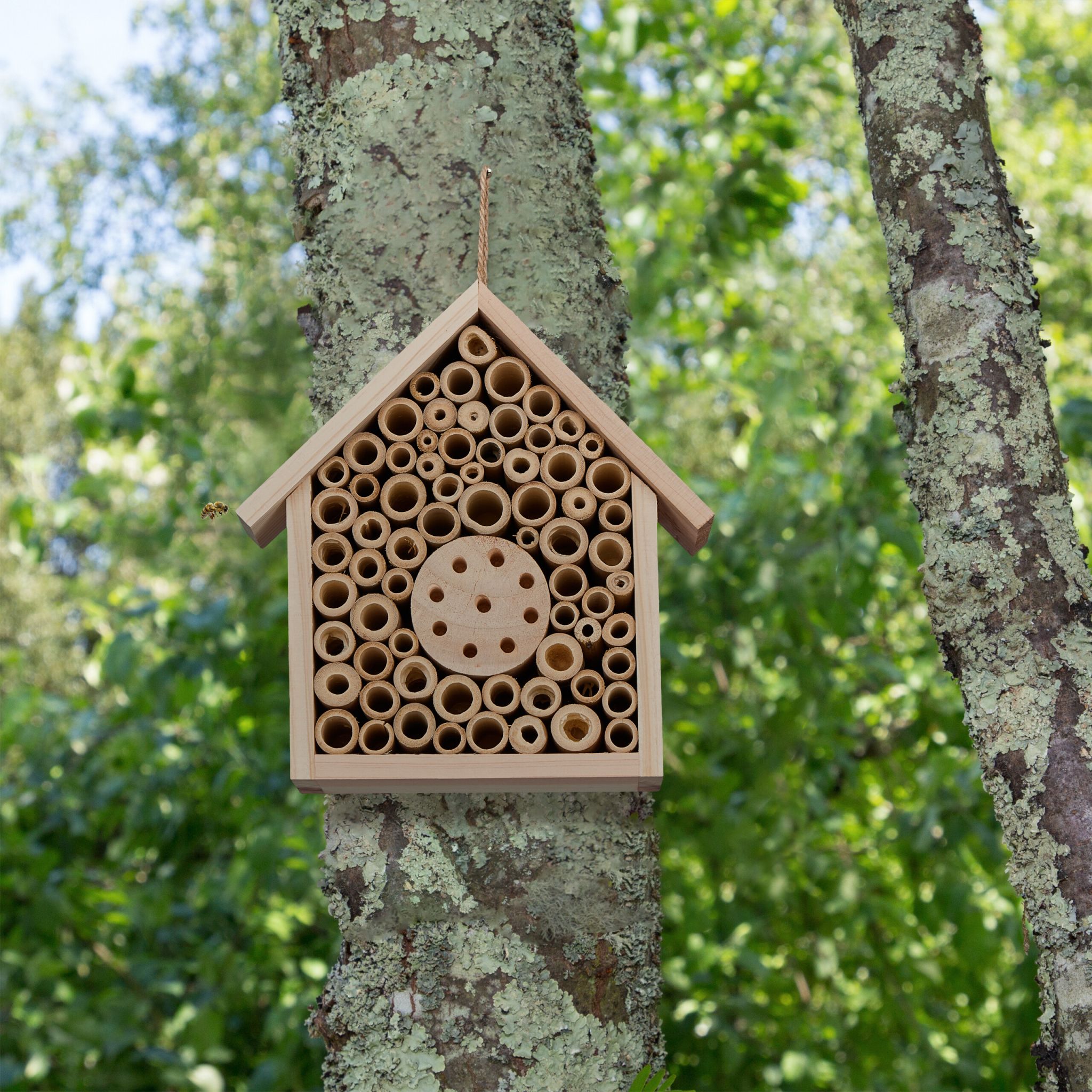 Bienenhotel unbehandeltem Holz Hellbraun von Relaxdays
