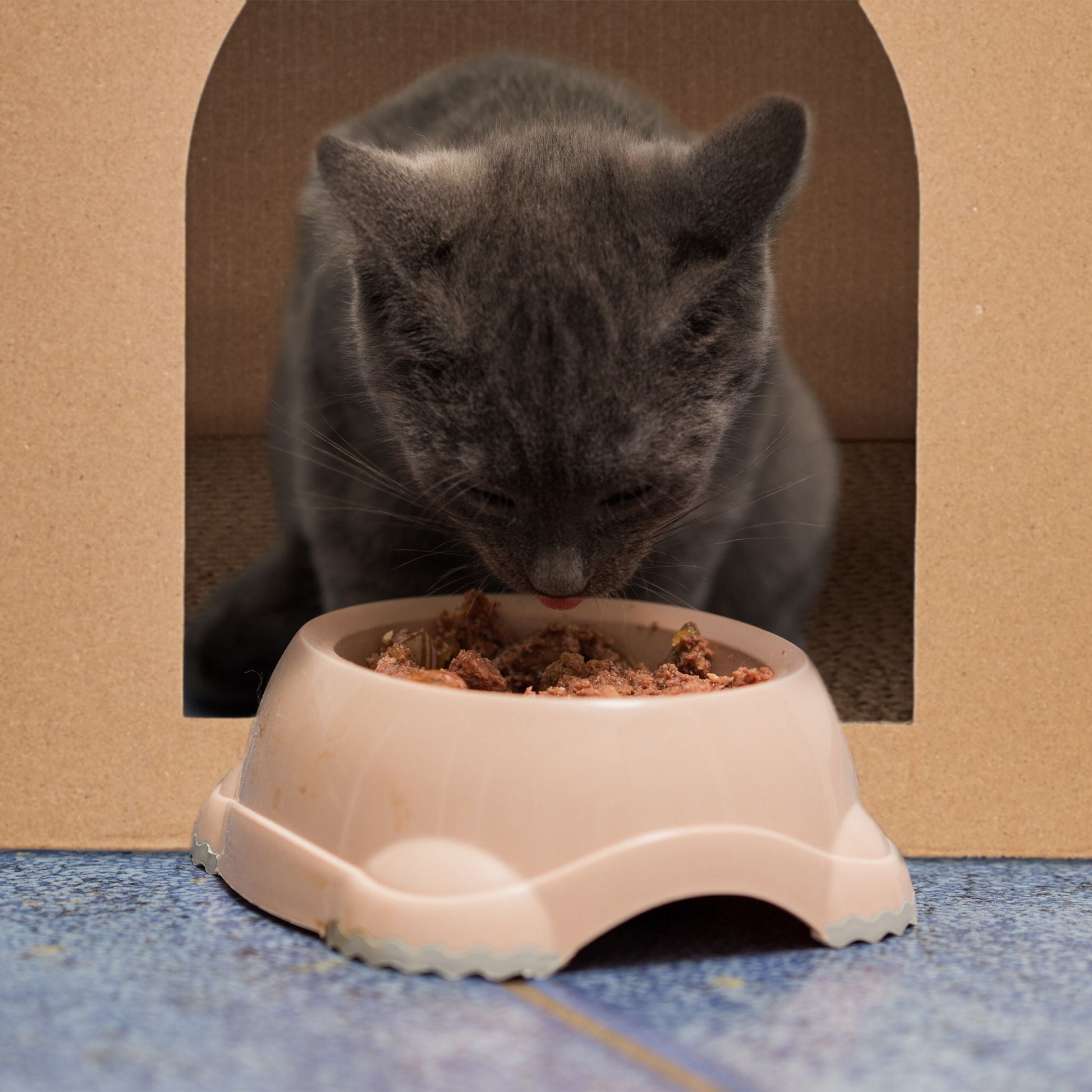 Katzenhaus Pappe mit Kratzbrett Hellbraun von Relaxdays