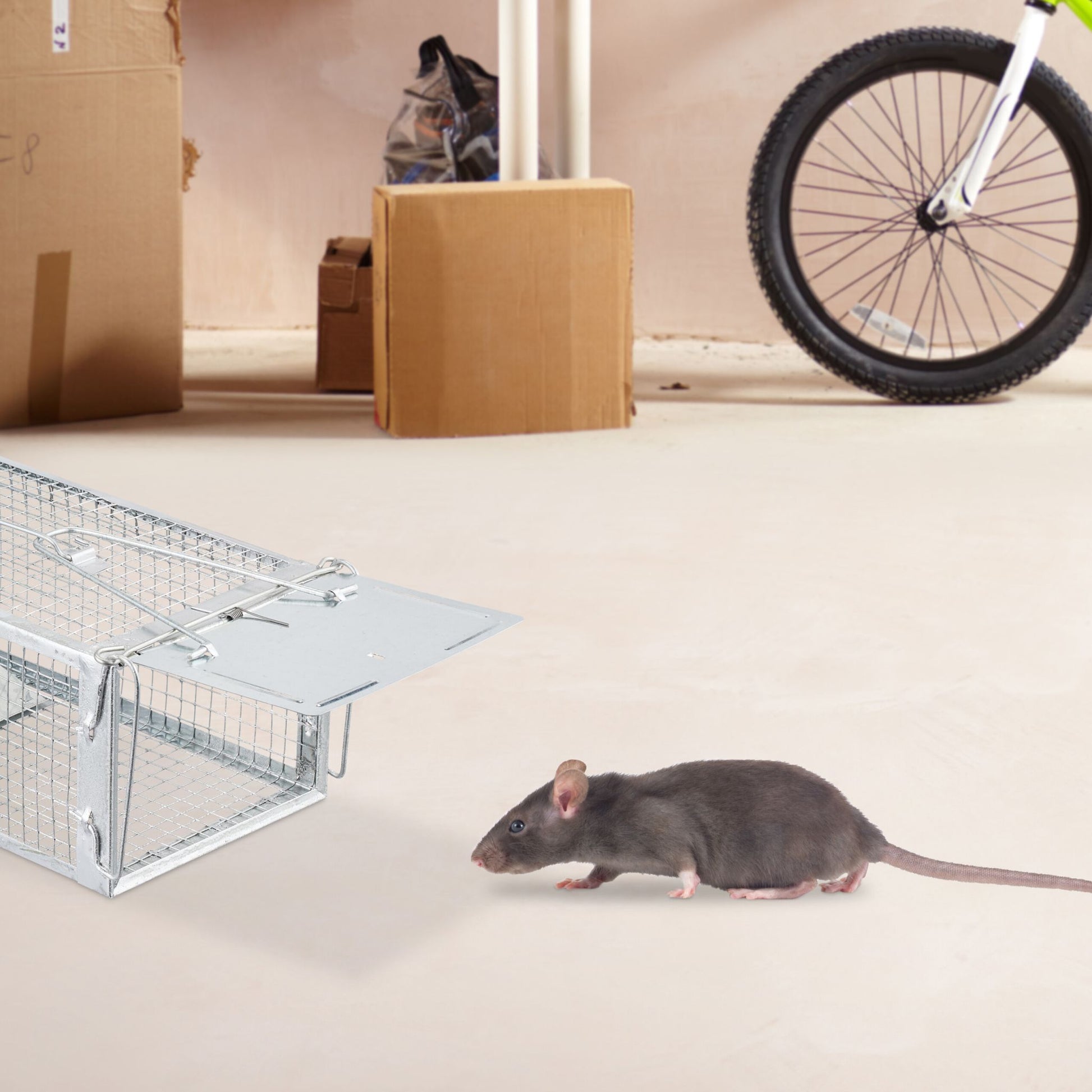 Lebendfalle für Mäuse und Ratten Silber von Relaxdays