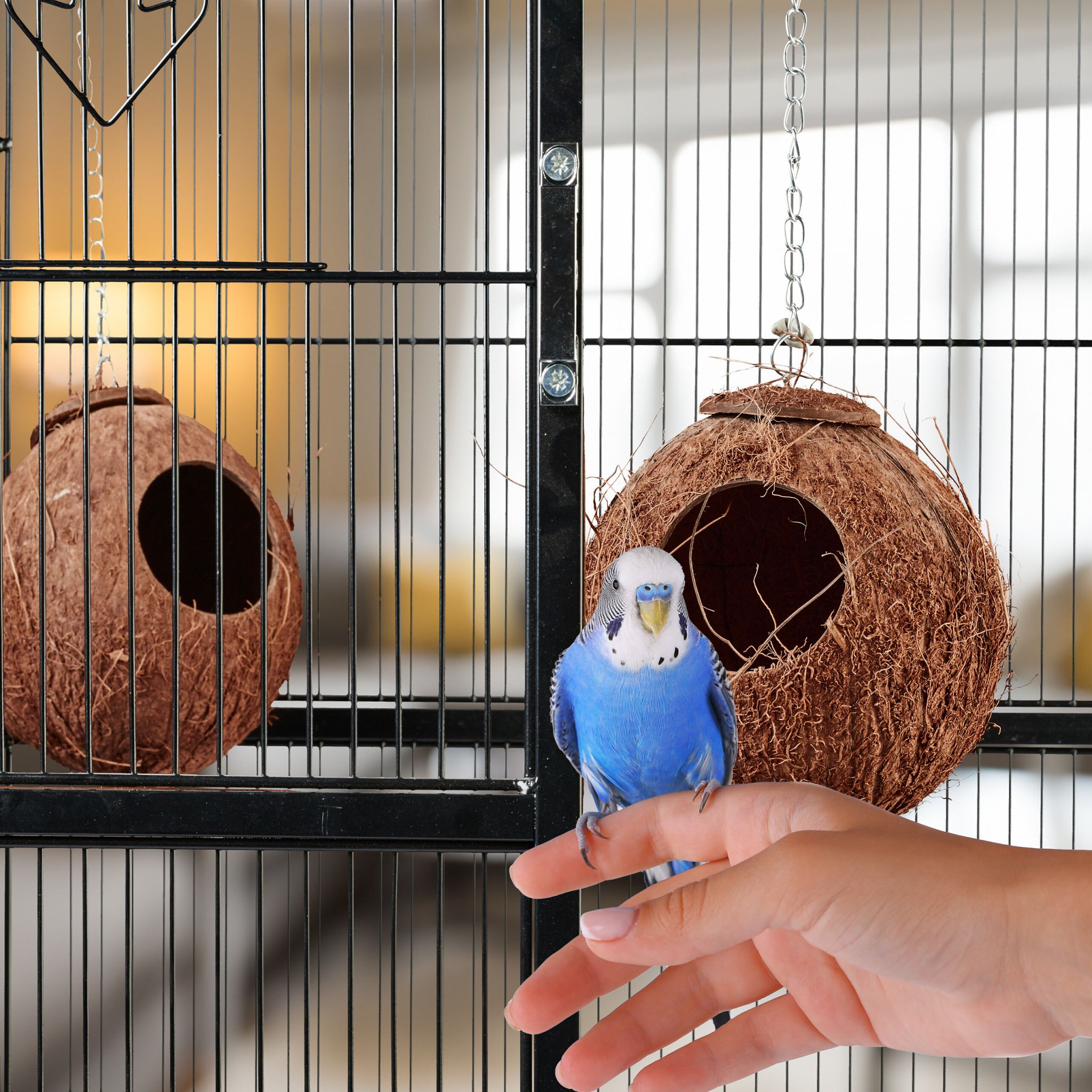 Vogelhaus Kokosnuss 2er-Set Braun-Silber