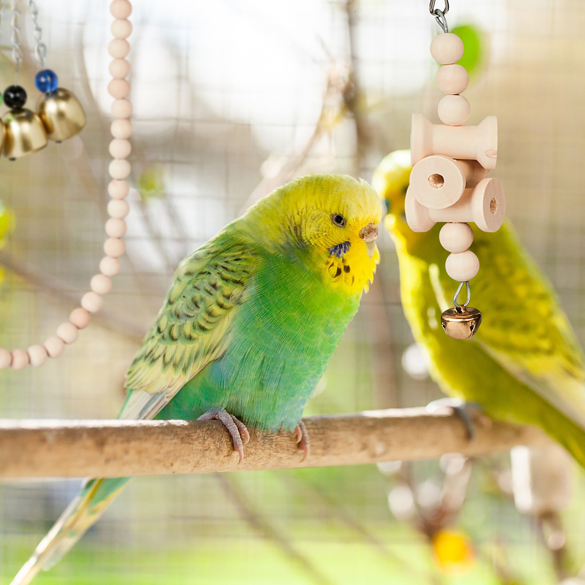 Vogelspielzeug 7tlg. Gold-Hellbraun-Silber von Relaxdays