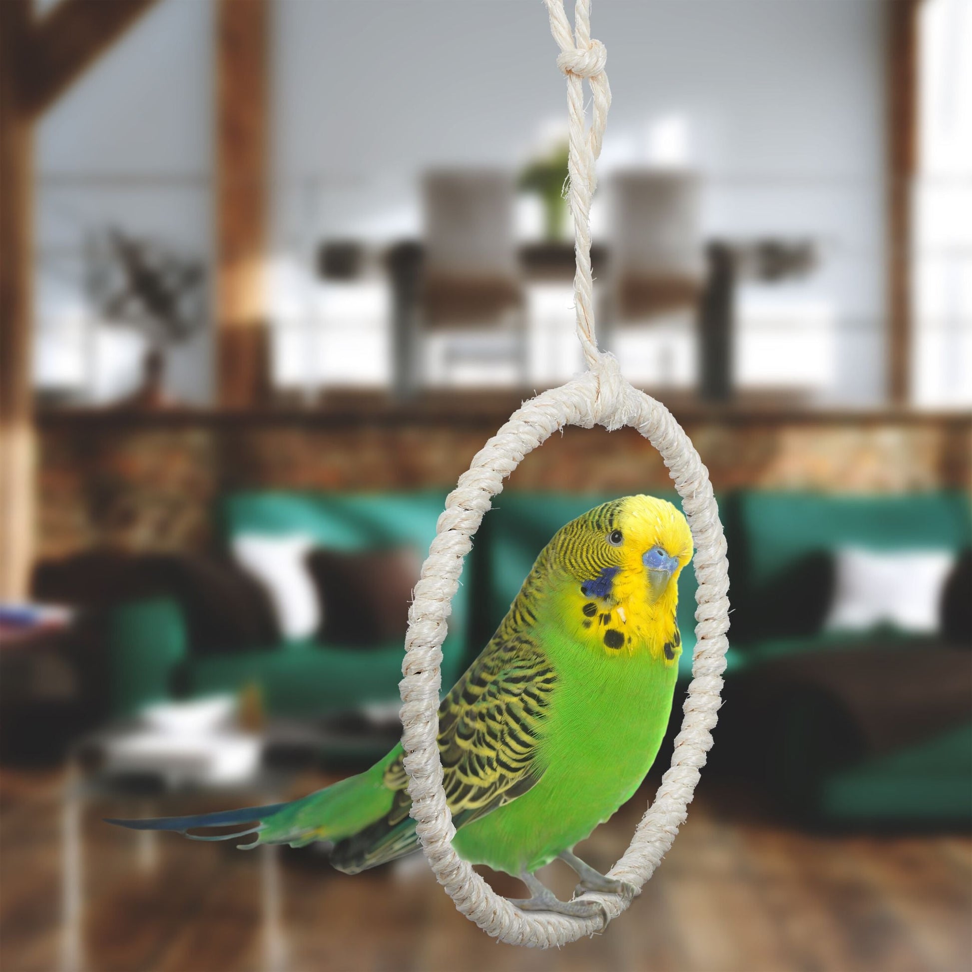 Vogelschaukel Ring 2er-Set Creme-Silber von Relaxdays