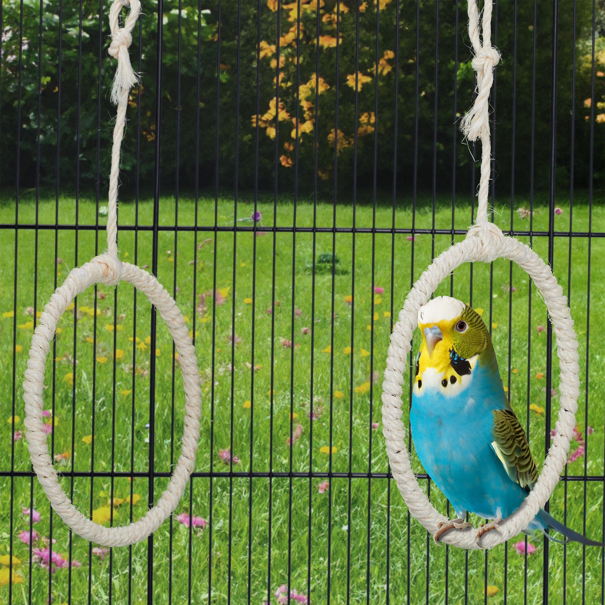 Vogelschaukel Ring 2er-Set Creme-Silber von Relaxdays