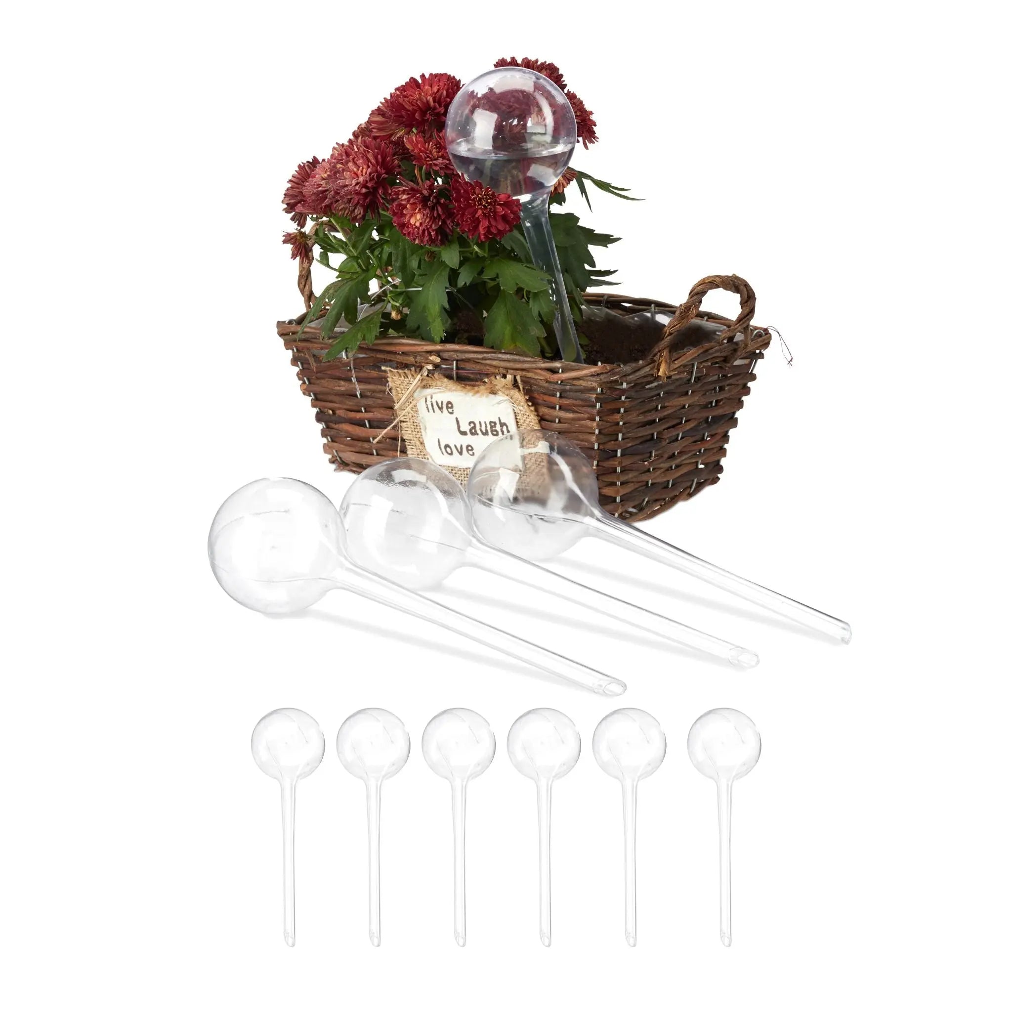 Bewässerungskugeln 10er-Set Transparent von Relaxdays