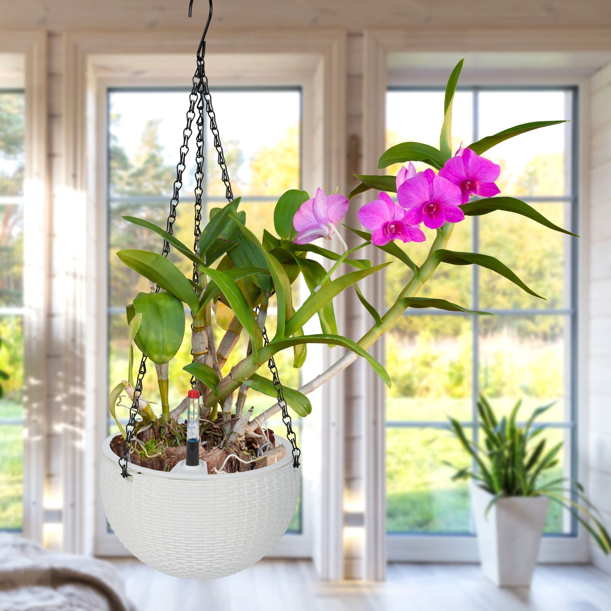 Blumenampel mit Wasserspeicher 2er-Set Weiss-Schwarz von Relaxdays
