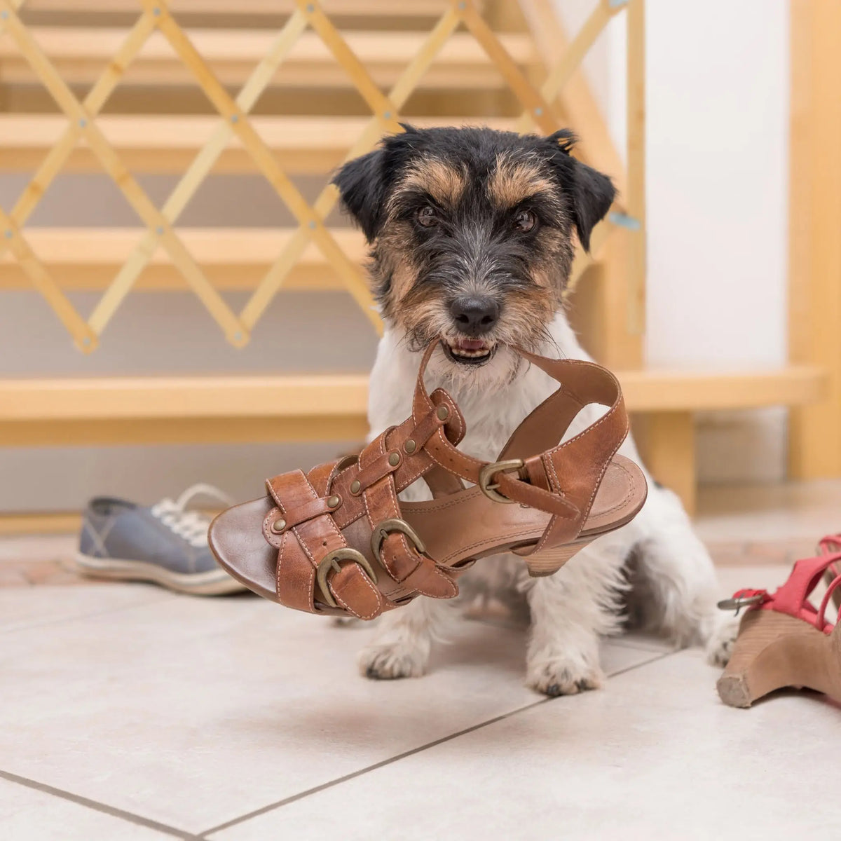Ausziehbares Hundeabsperrgitter in Natur Hellbraun von Relaxdays
