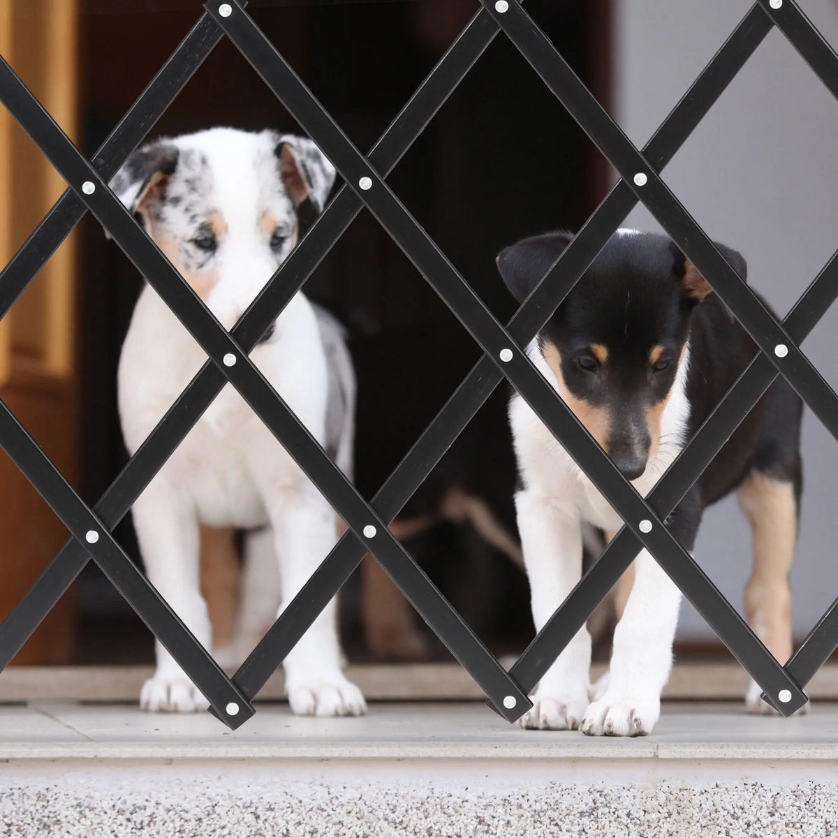 Ausziehbares Hundeabsperrgitter schwarz Schwarz von Relaxdays