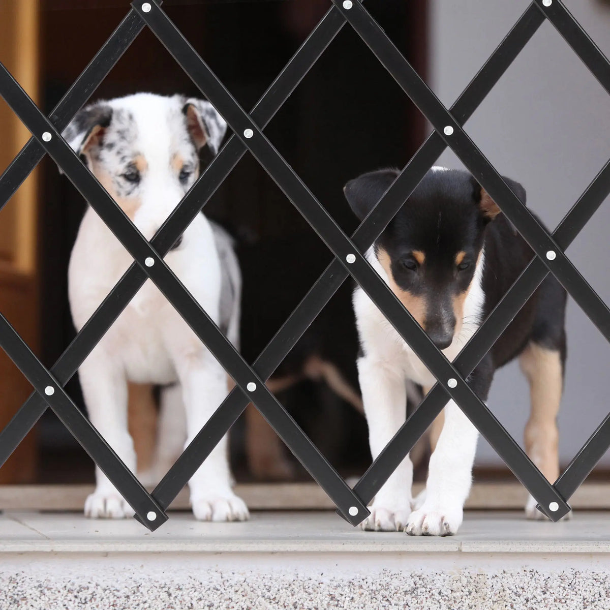 Ausziehbares Hundeabsperrgitter schwarz Schwarz von Relaxdays