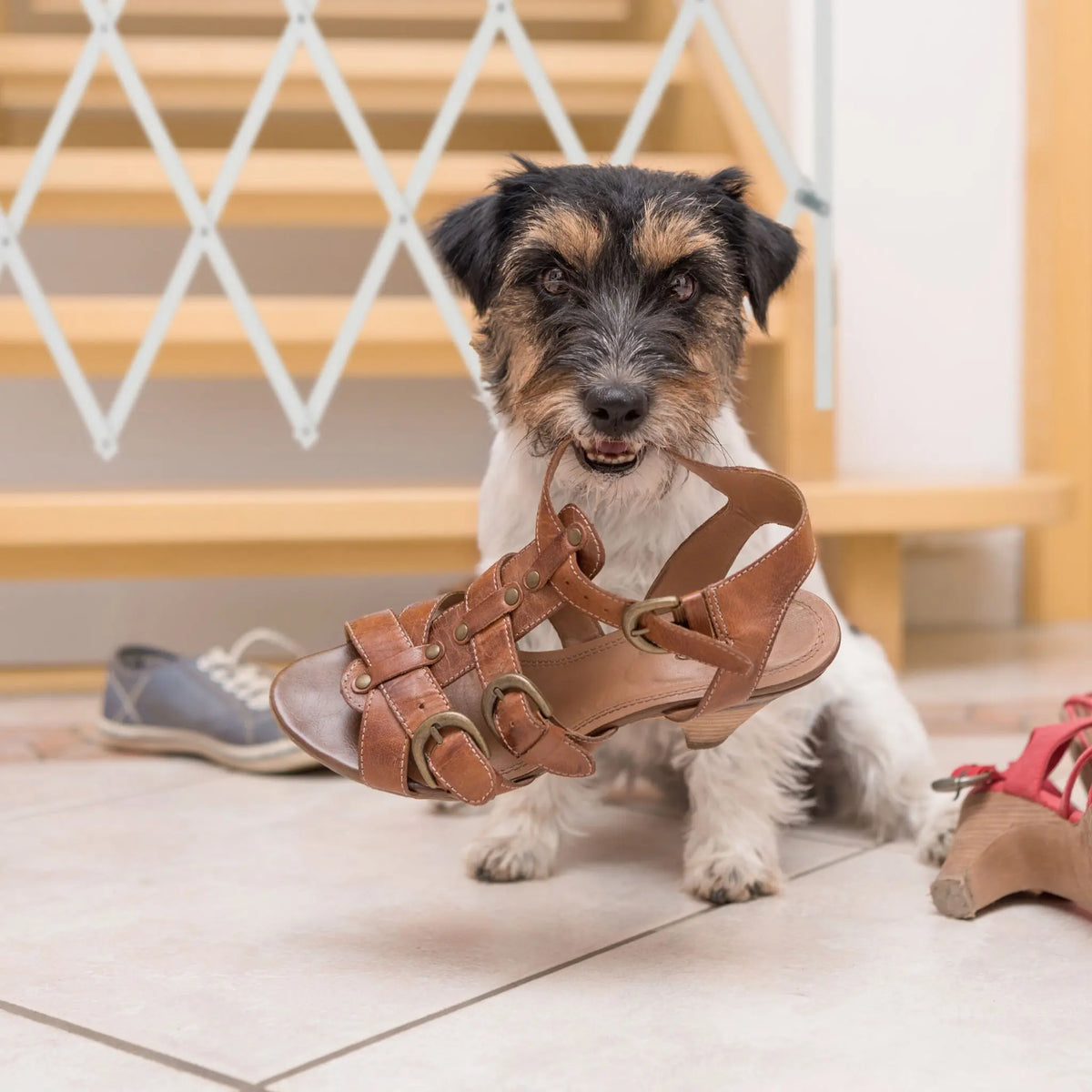 Ausziehbares Hundeabsperrgitter in Weiss Weiss von Relaxdays