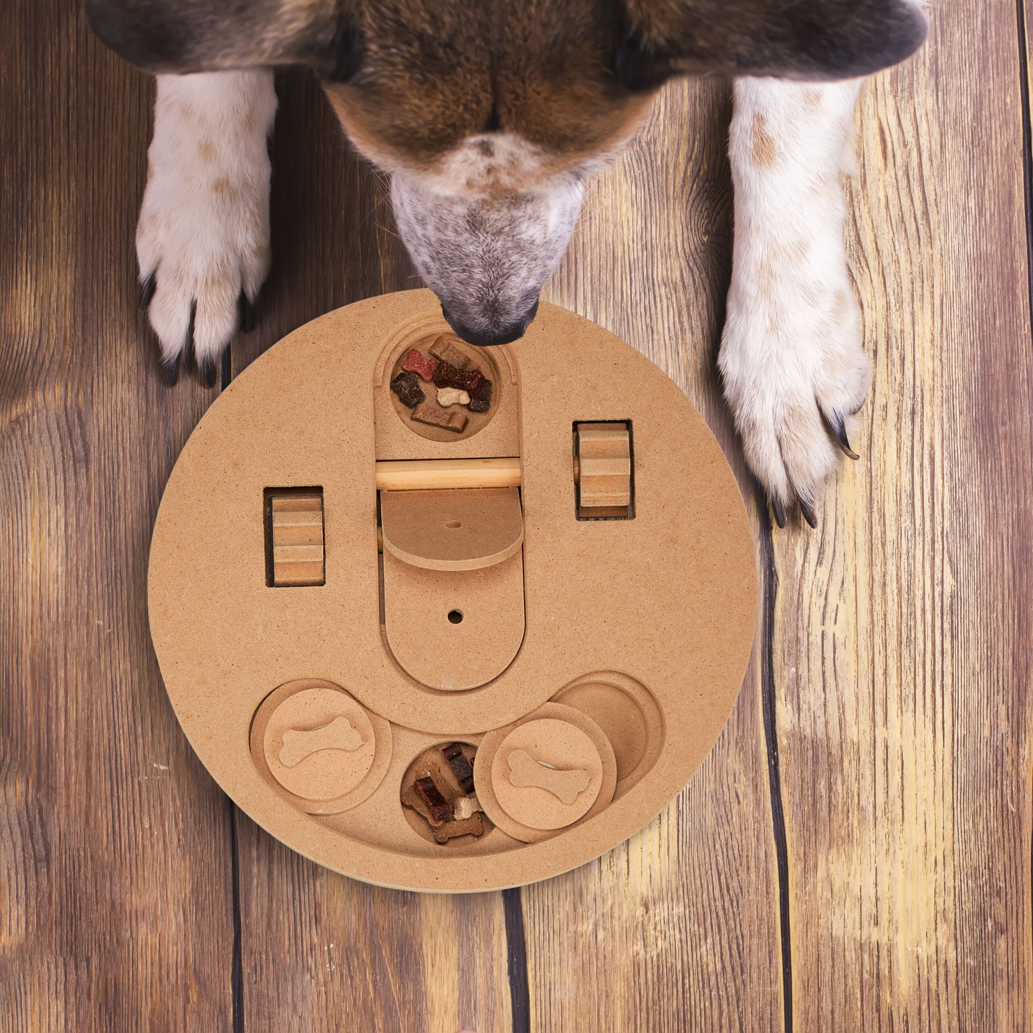 Intelligenzspielzeug für Hunde Hellbraun von Relaxdays