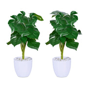 Kunstpflanze Monstera 2er-Set Weiss-Dunkelgrün von Relaxdays