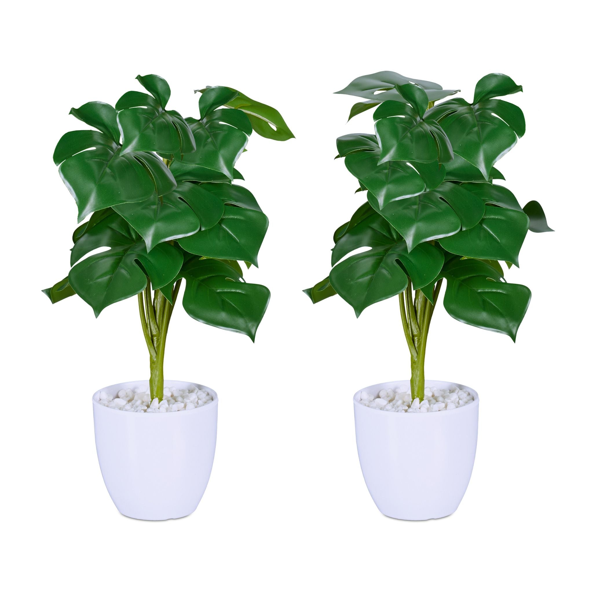 Kunstpflanze Monstera 2er-Set Weiss-Dunkelgrün von Relaxdays