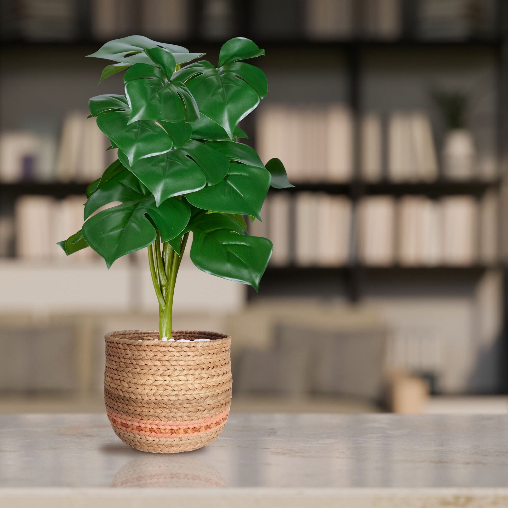 Kunstpflanze Monstera 2er-Set Weiss-Dunkelgrün von Relaxdays