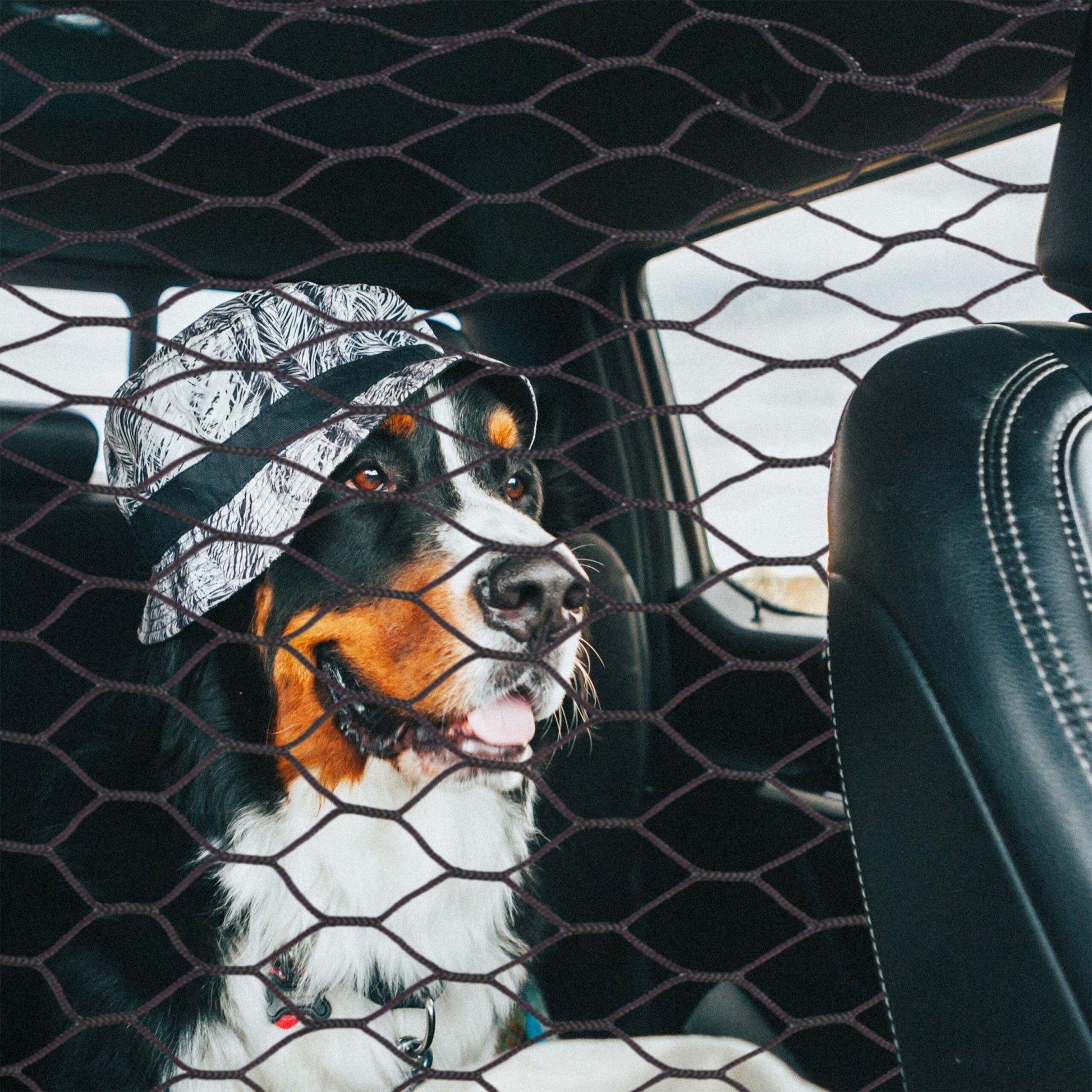 Auto Trennnetz für Hunde Schwarz von Relaxdays