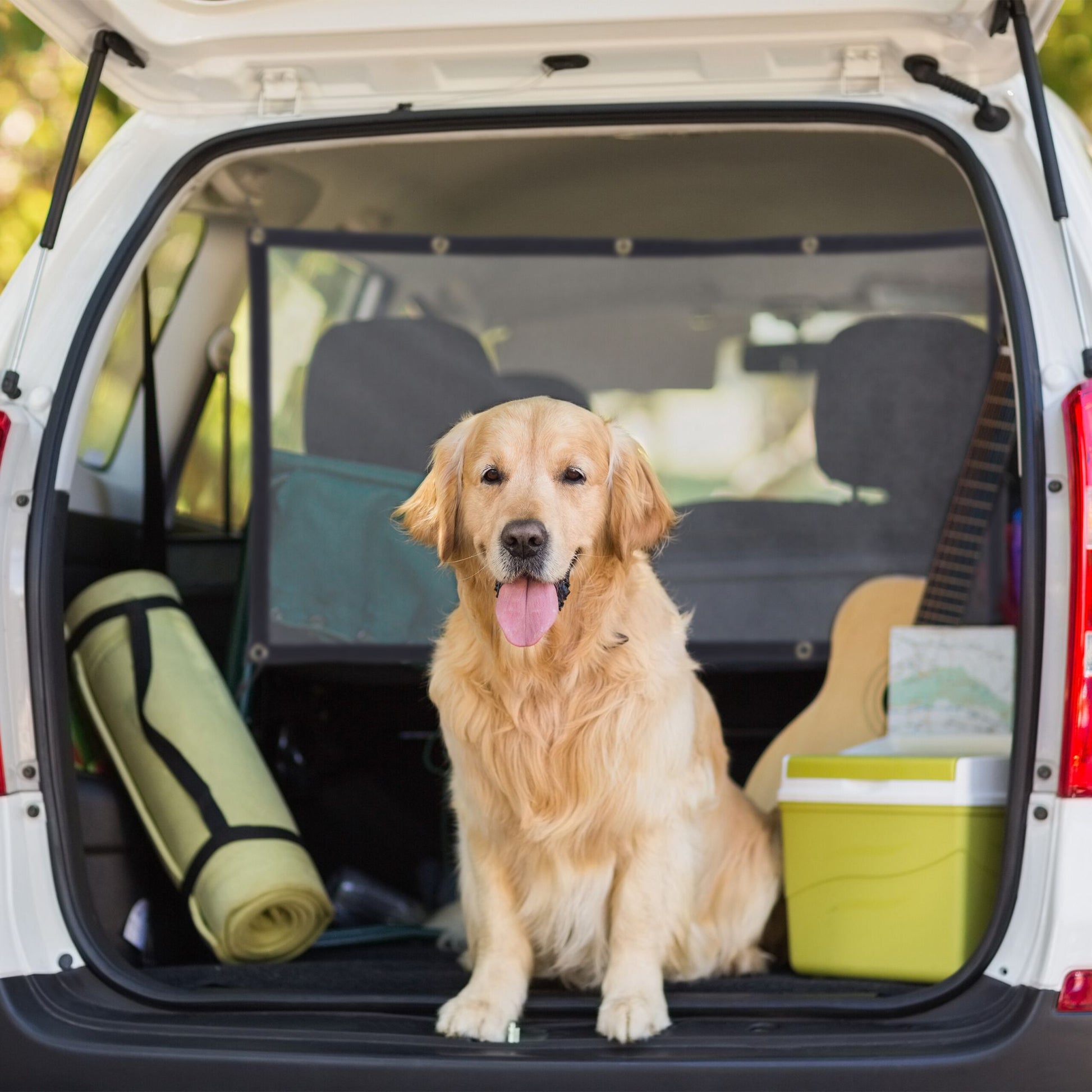 Auto Trennnetz für Hunde Schwarz von Relaxdays
