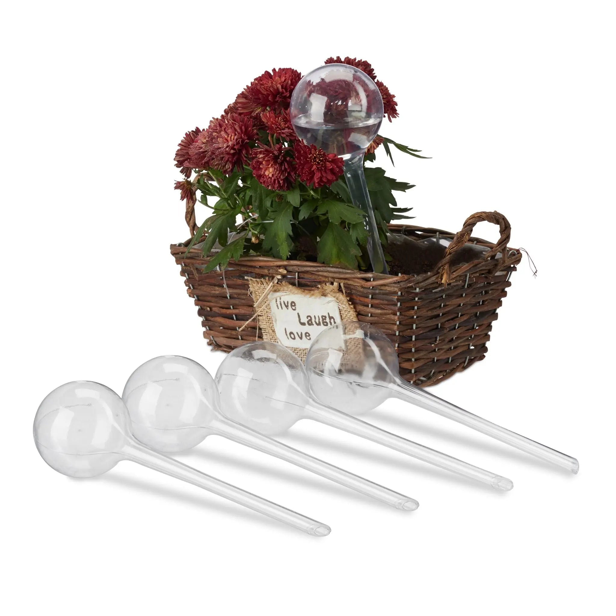 Bewässerungskugeln 5er-Set Transparent von Relaxdays