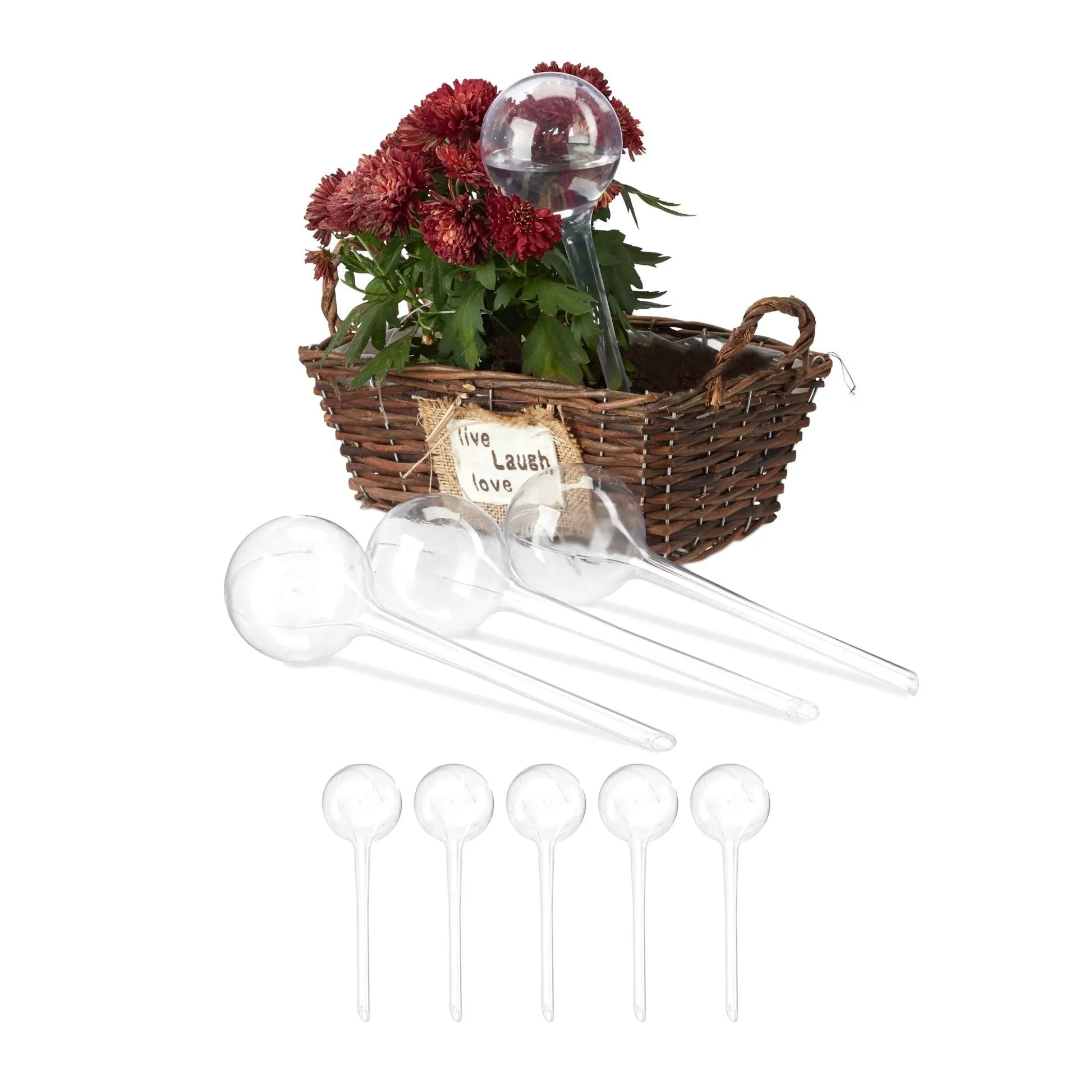 Bewässerungskugeln 9er-Set Transparent von Relaxdays