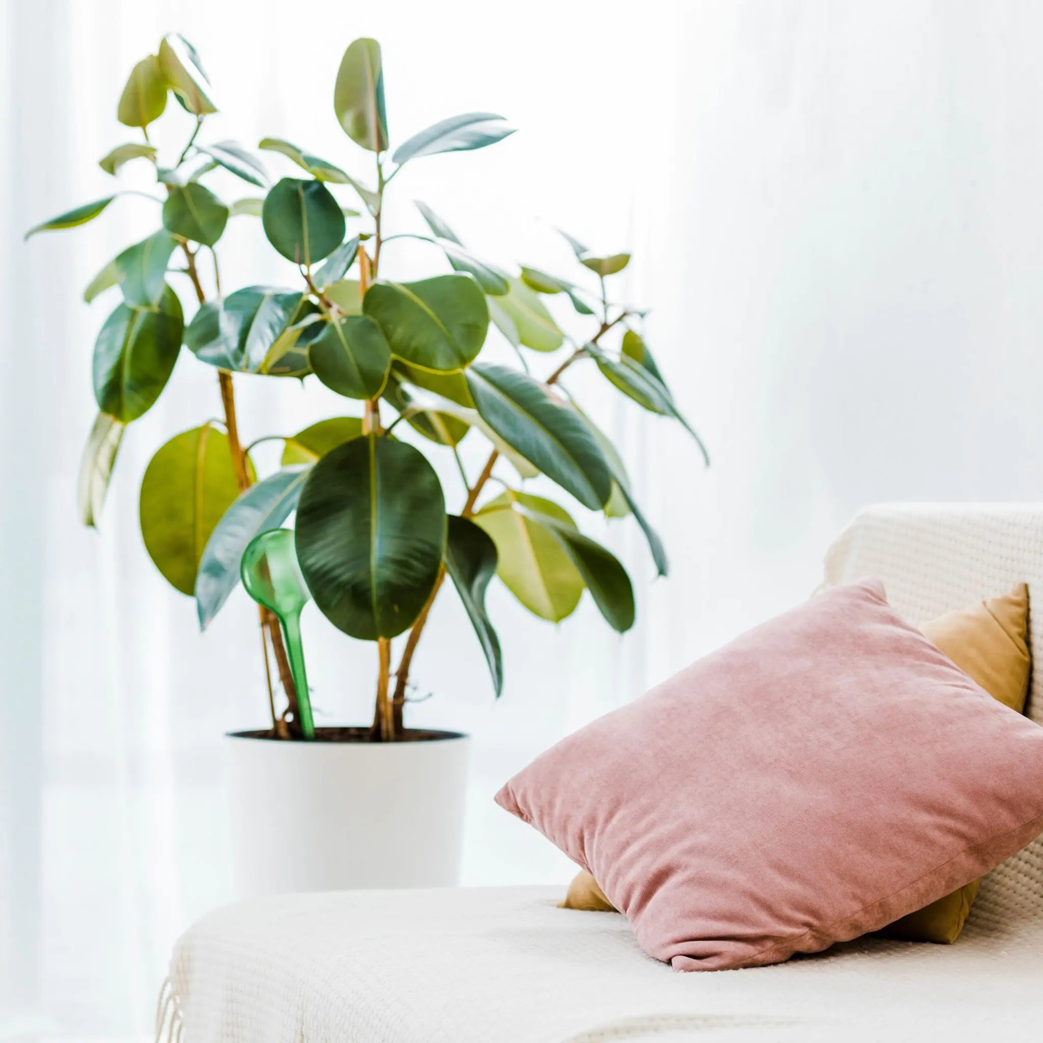 Bewässerungskugeln 9er-Set Grün von Relaxdays