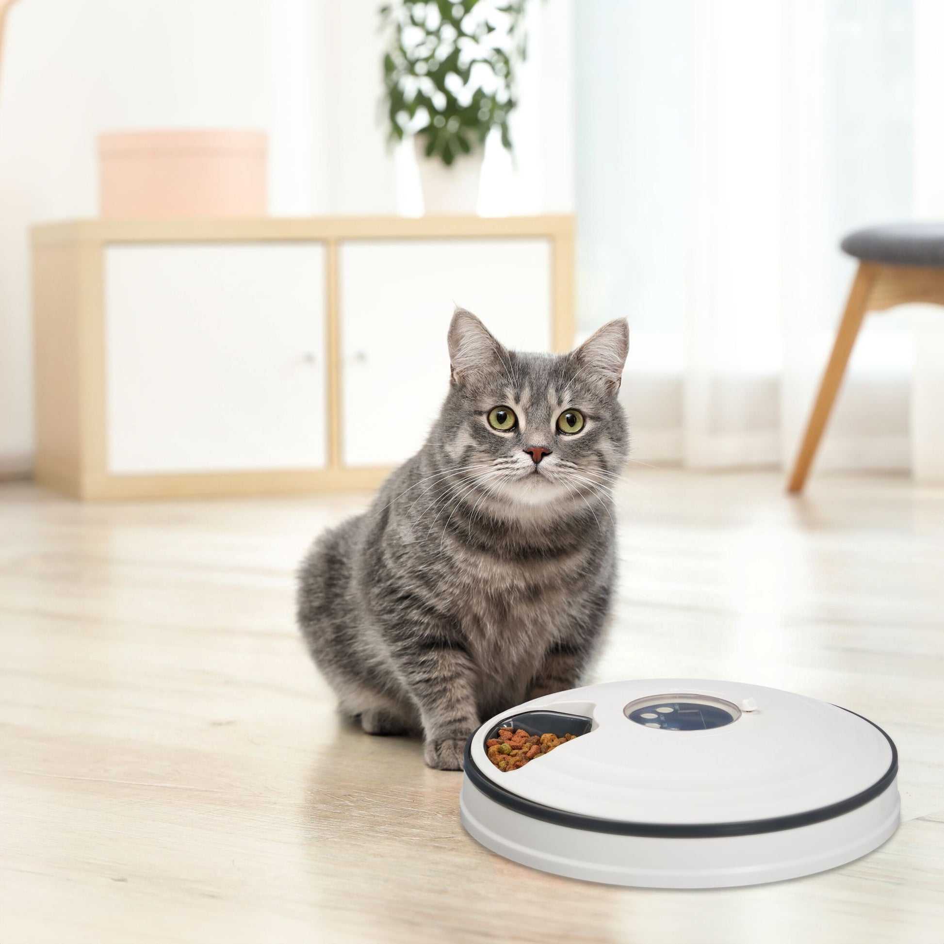 Futterautomat für Katzen Weiss-Grau von Relaxdays
