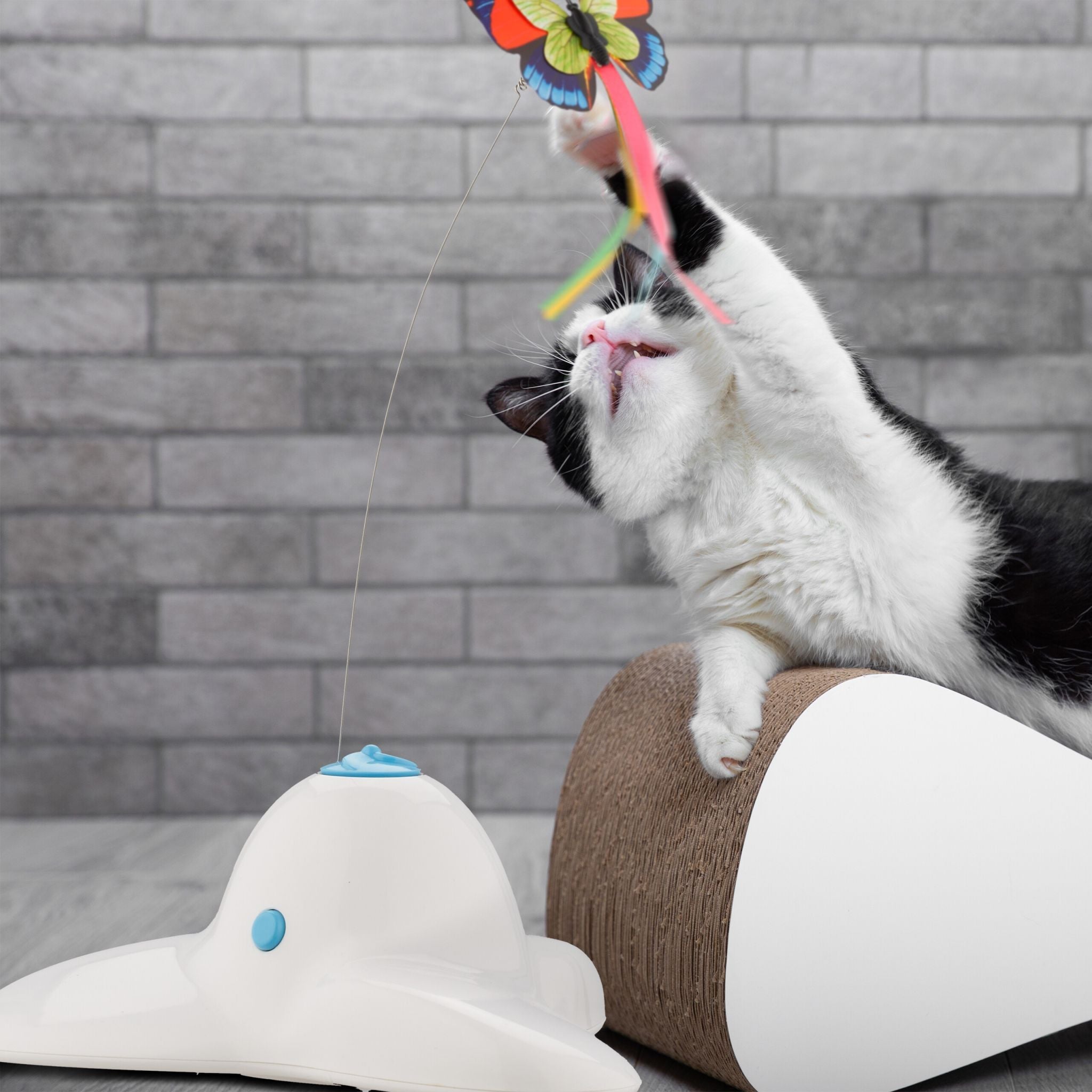 Katzenspielzeug mit Schmetterling Weiss-Hellblau-Rot von Relaxdays