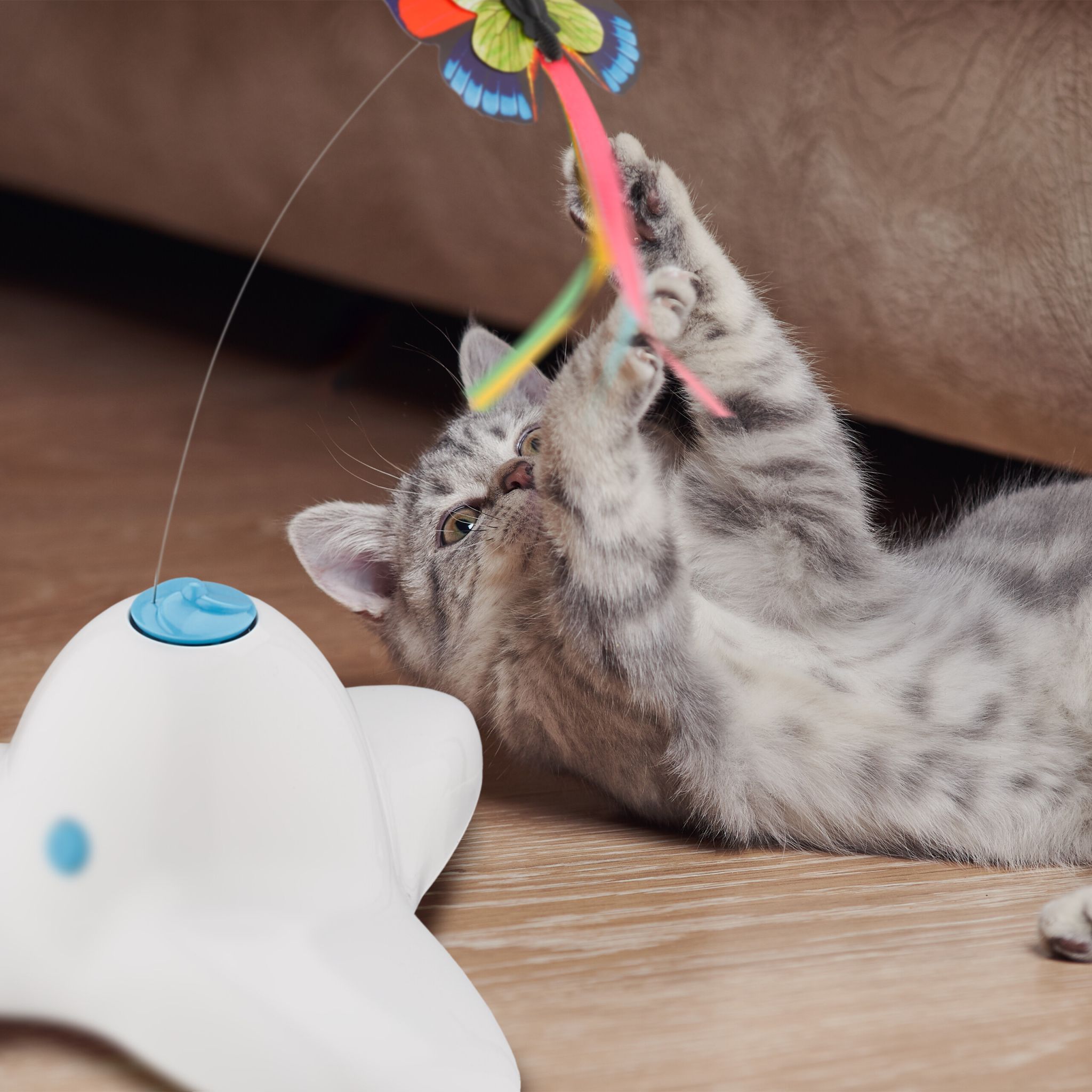 Katzenspielzeug mit Schmetterling Weiss-Hellblau-Rot von Relaxdays