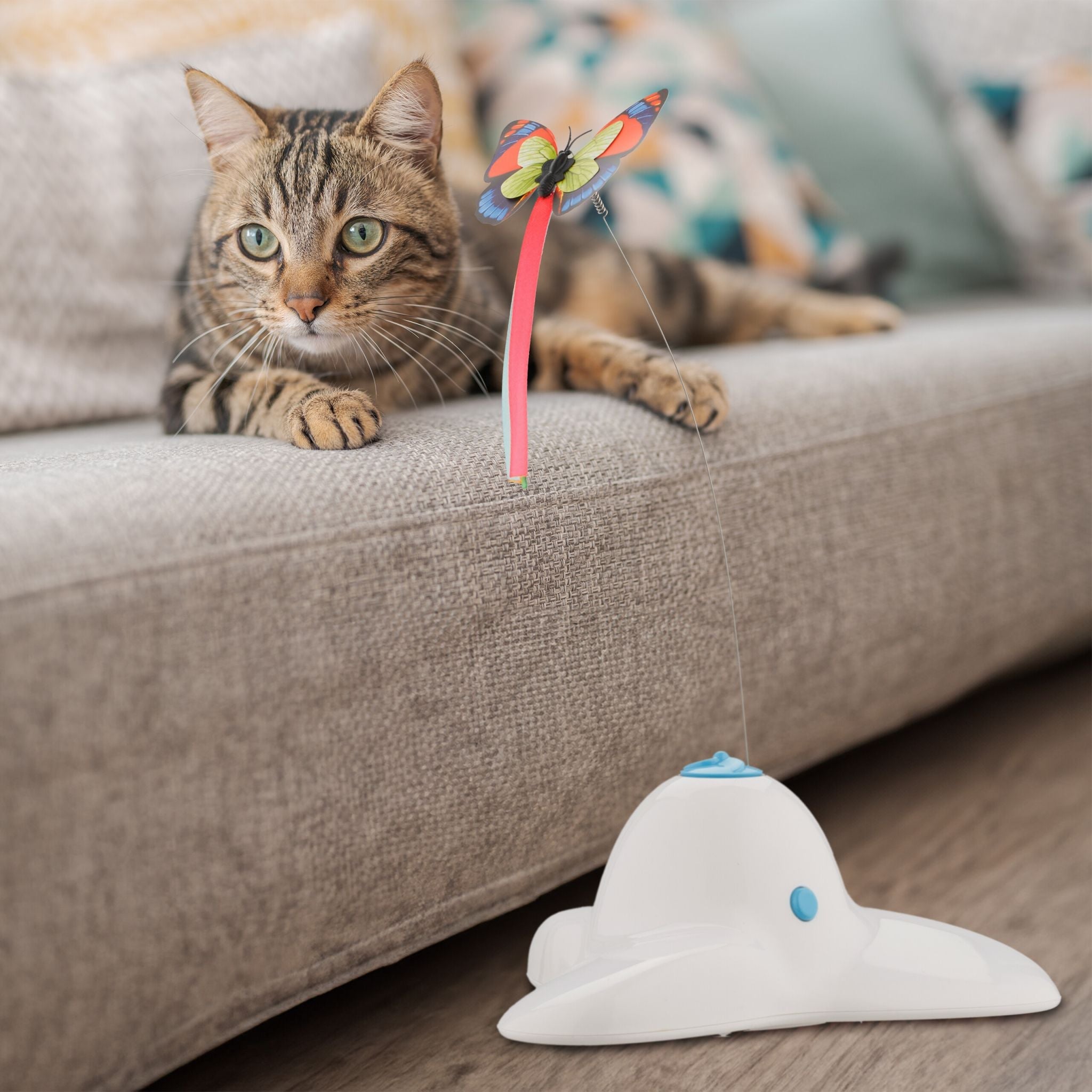 Katzenspielzeug mit Schmetterling Weiss-Hellblau-Rot von Relaxdays