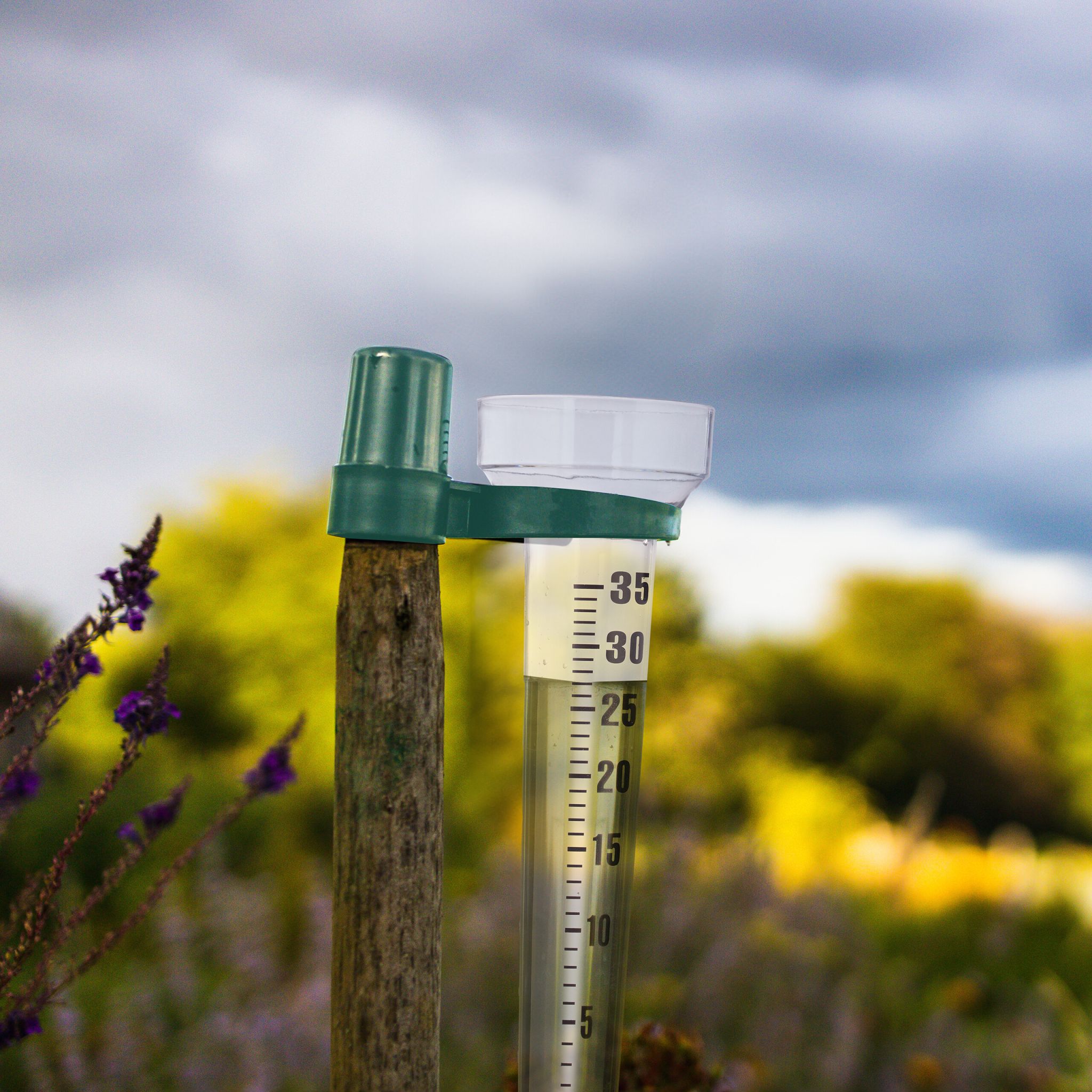 Regenmesser mit Halterung 2er-Set Dunkelgrün-Schwarz-Transparent von Relaxdays