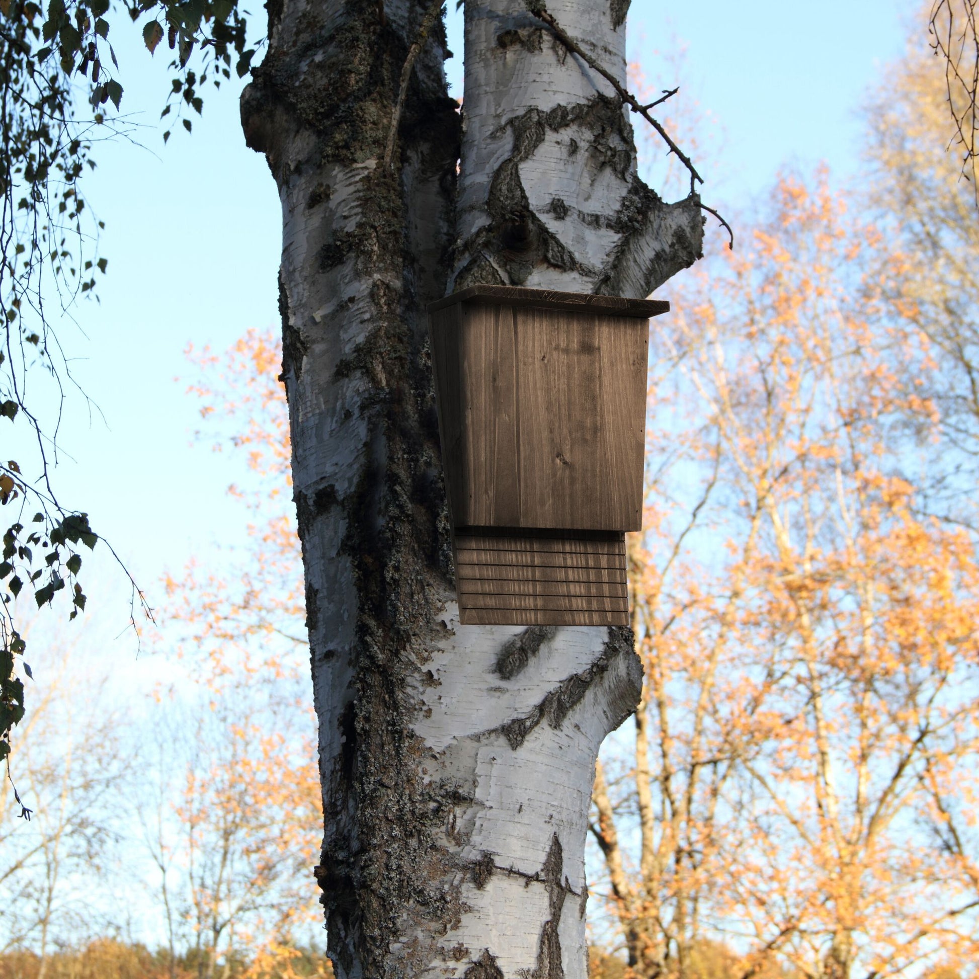 Fledermauskasten Holz Braun von Relaxdays