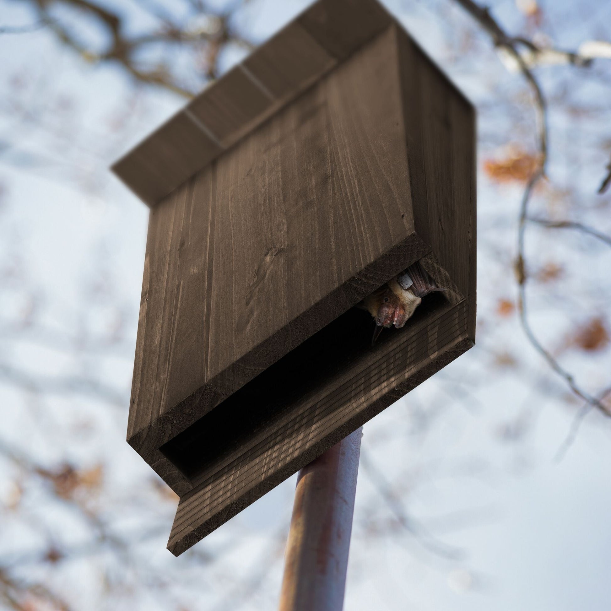 Fledermauskasten Holz Braun von Relaxdays