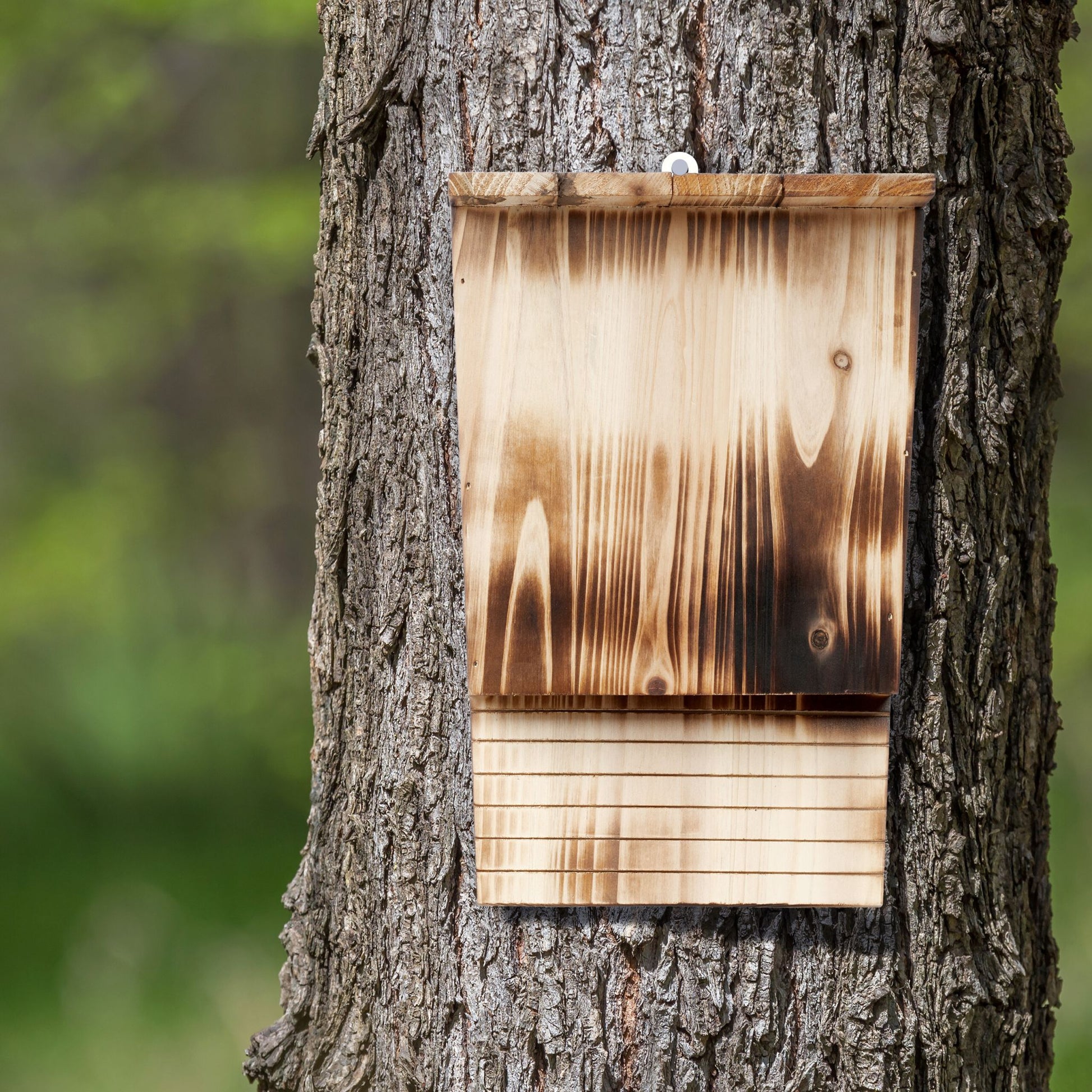 Fledermauskasten geflammten Holz Braun-Hellbraun von Relaxdays