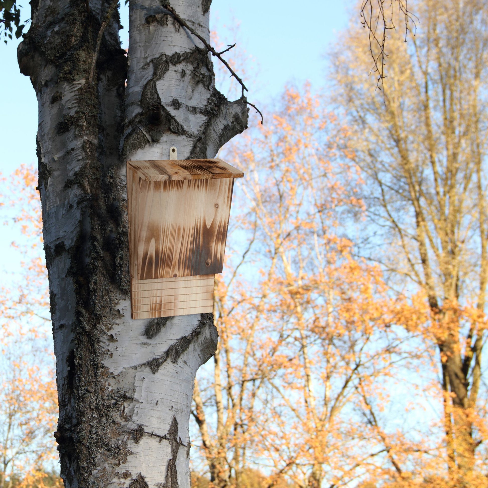Fledermauskasten geflammten Holz Braun-Hellbraun von Relaxdays