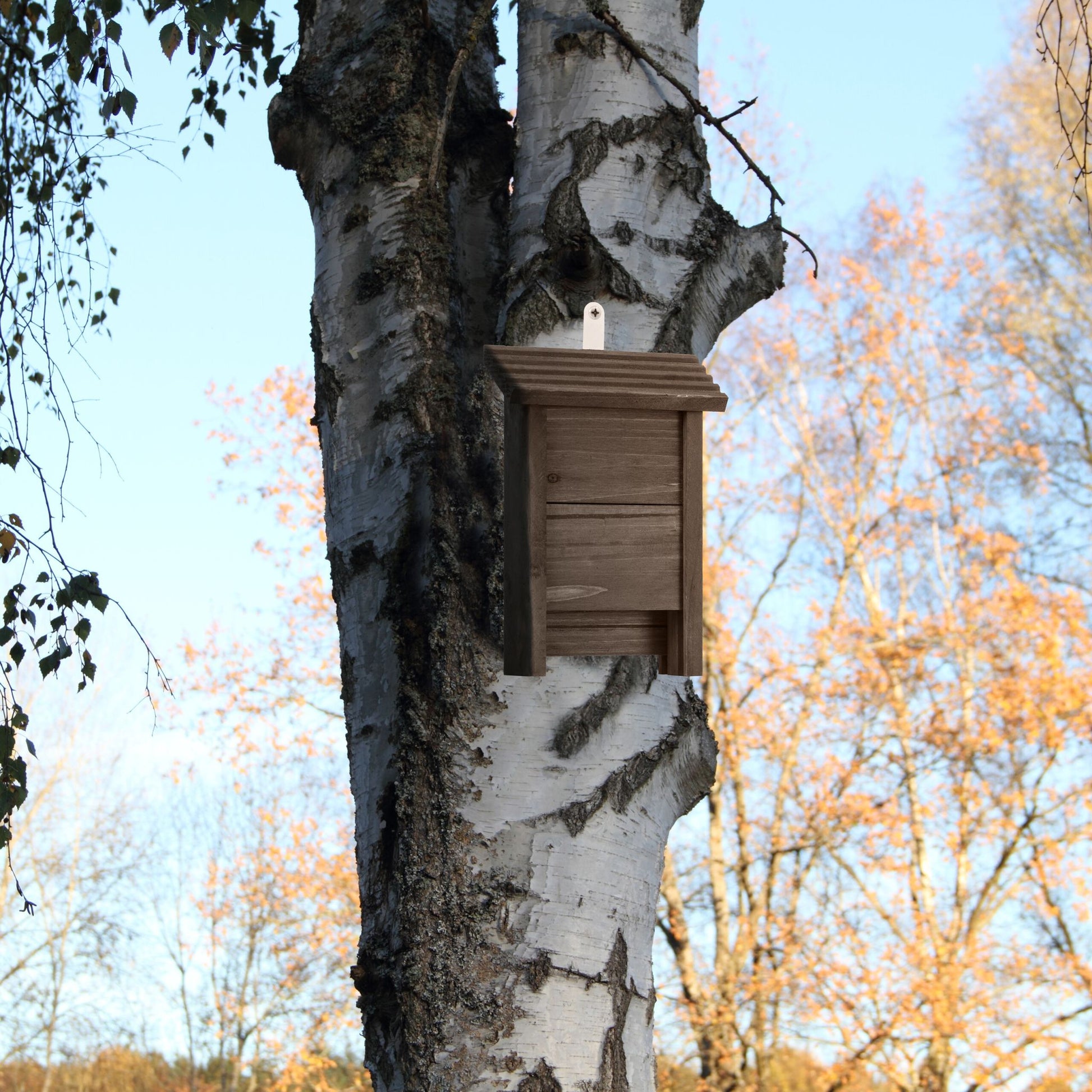 Fledermauskasten Holz Braun von Relaxdays