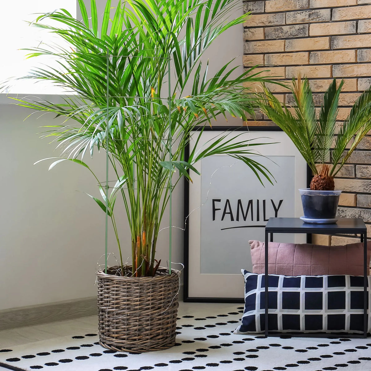 Rankhilfe 90cm 6er-Set Grün von Relaxdays