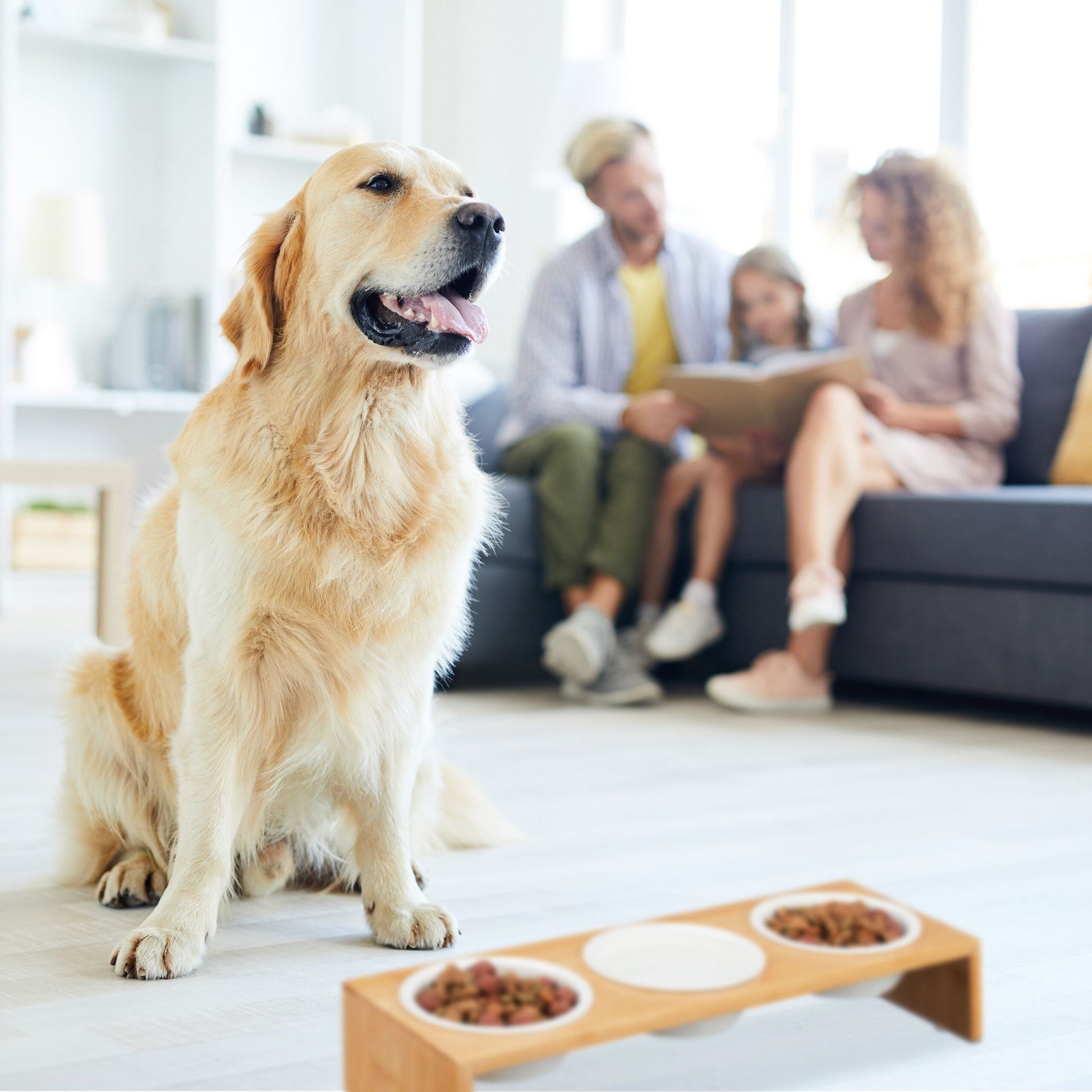 Futterstation für Hunde Weiss-Hellbraun von Relaxdays