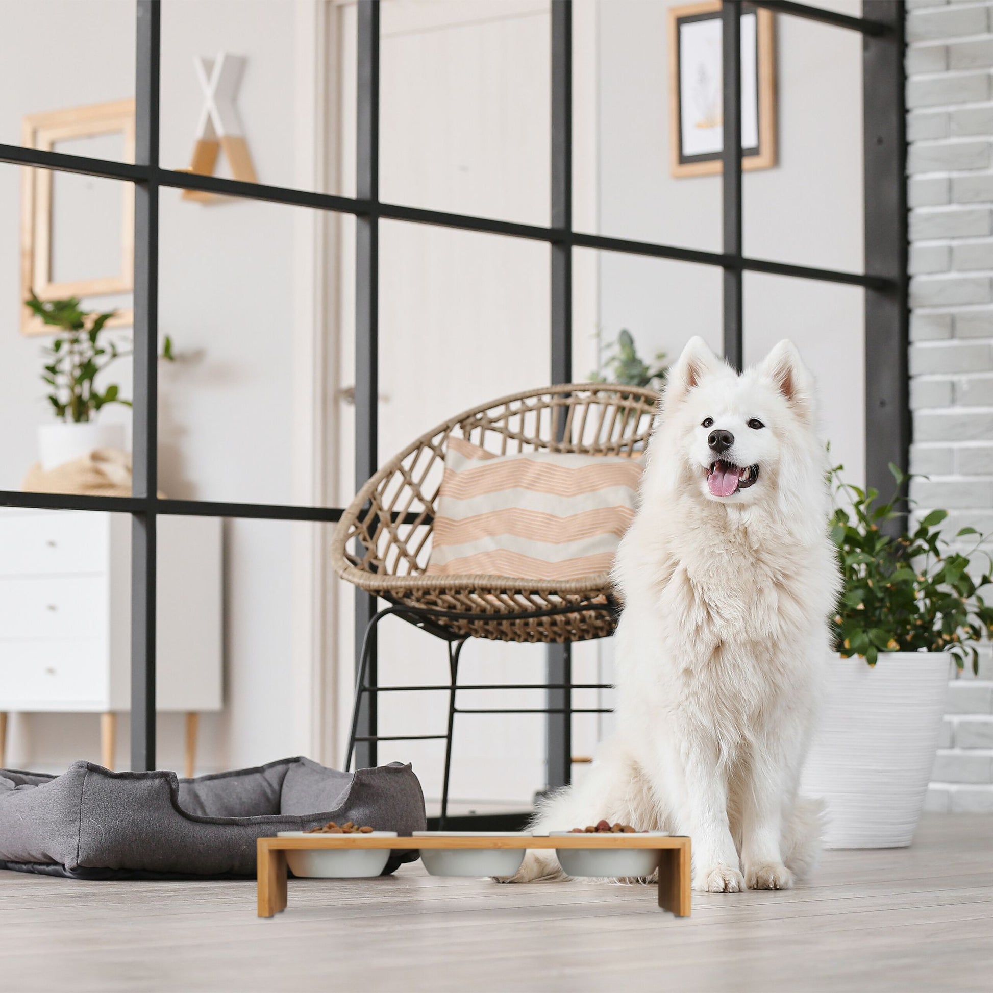 Futterstation für Hunde Weiss-Hellbraun von Relaxdays