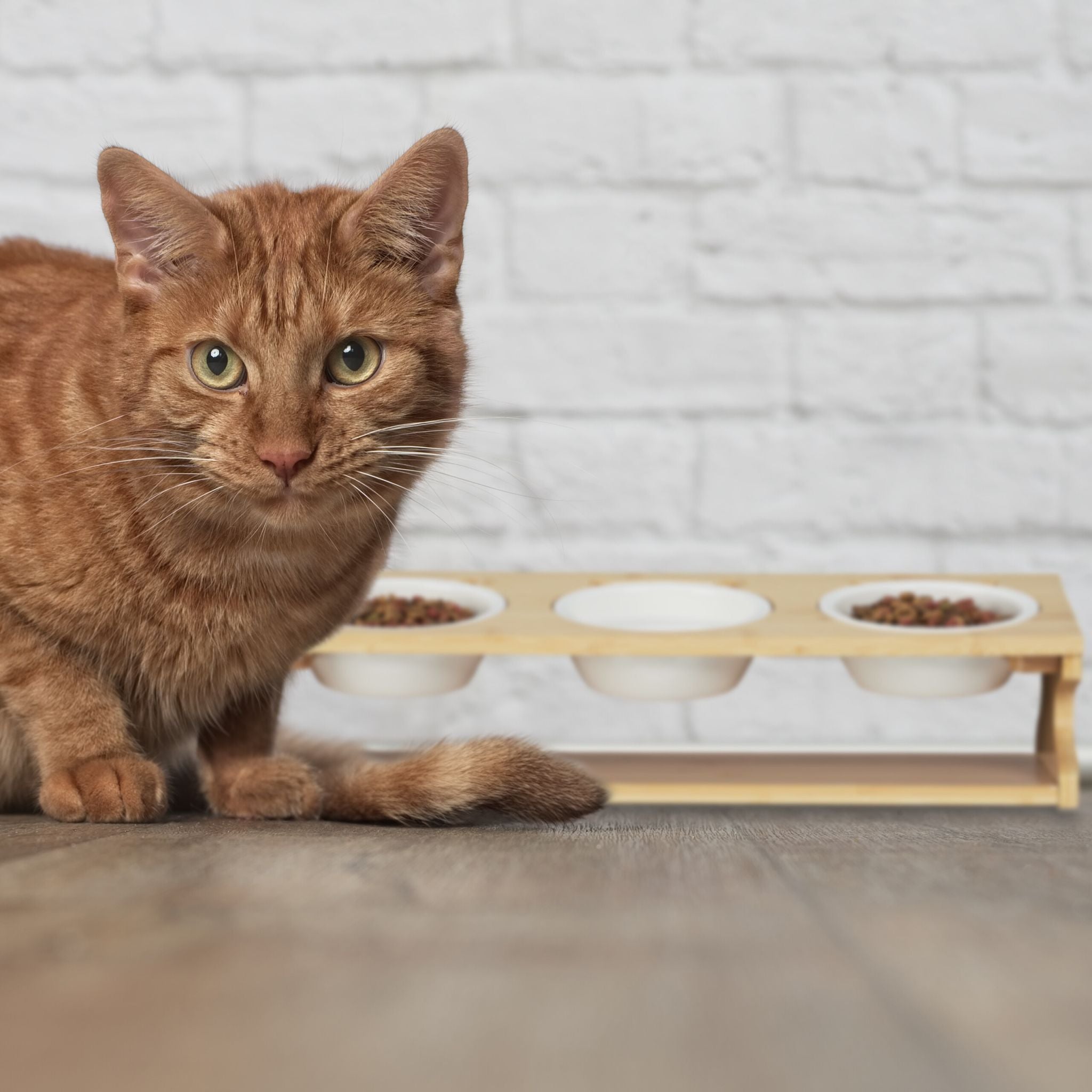 Katzen Futterstation mit 3 Näpfen Weiss-Hellbraun