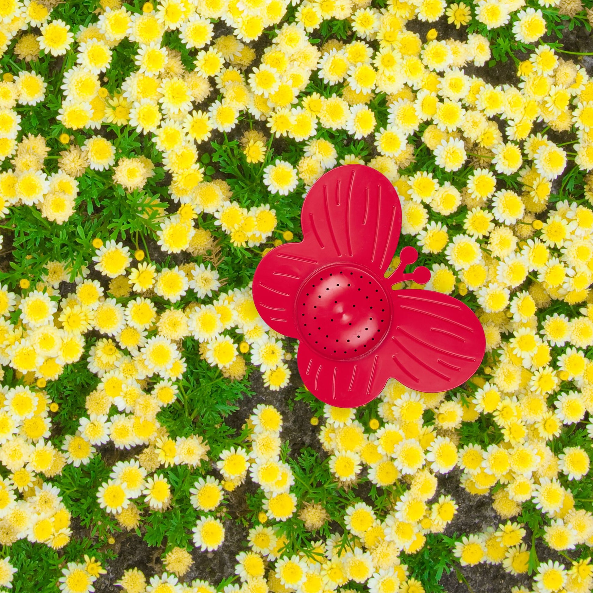 Sprinkler Blume 6er-Set Gelb-Grün-Rot von Relaxdays