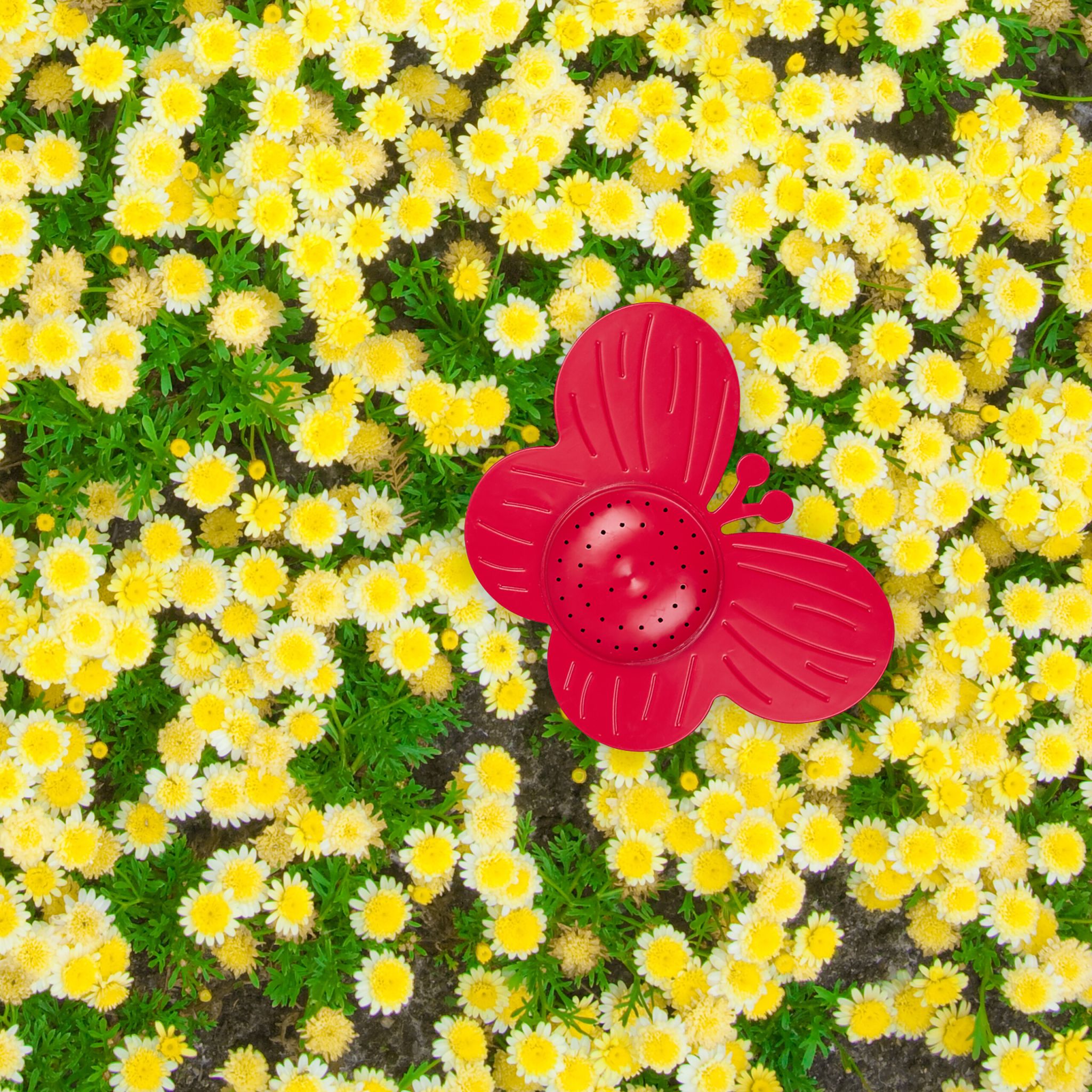 Sprinkler Blume 6er-Set Gelb-Grün-Rot von Relaxdays