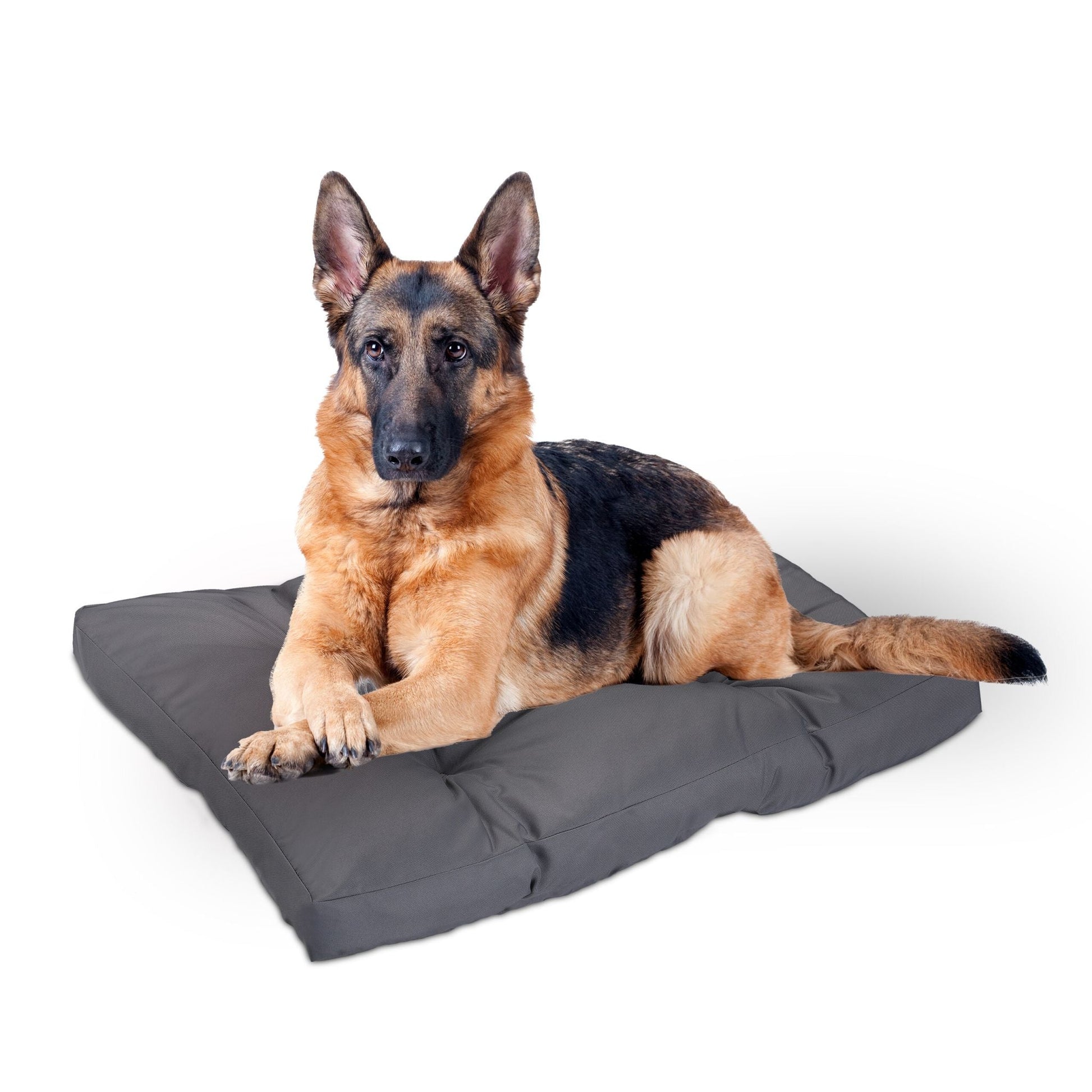 Hundebett grau Grau von Relaxdays