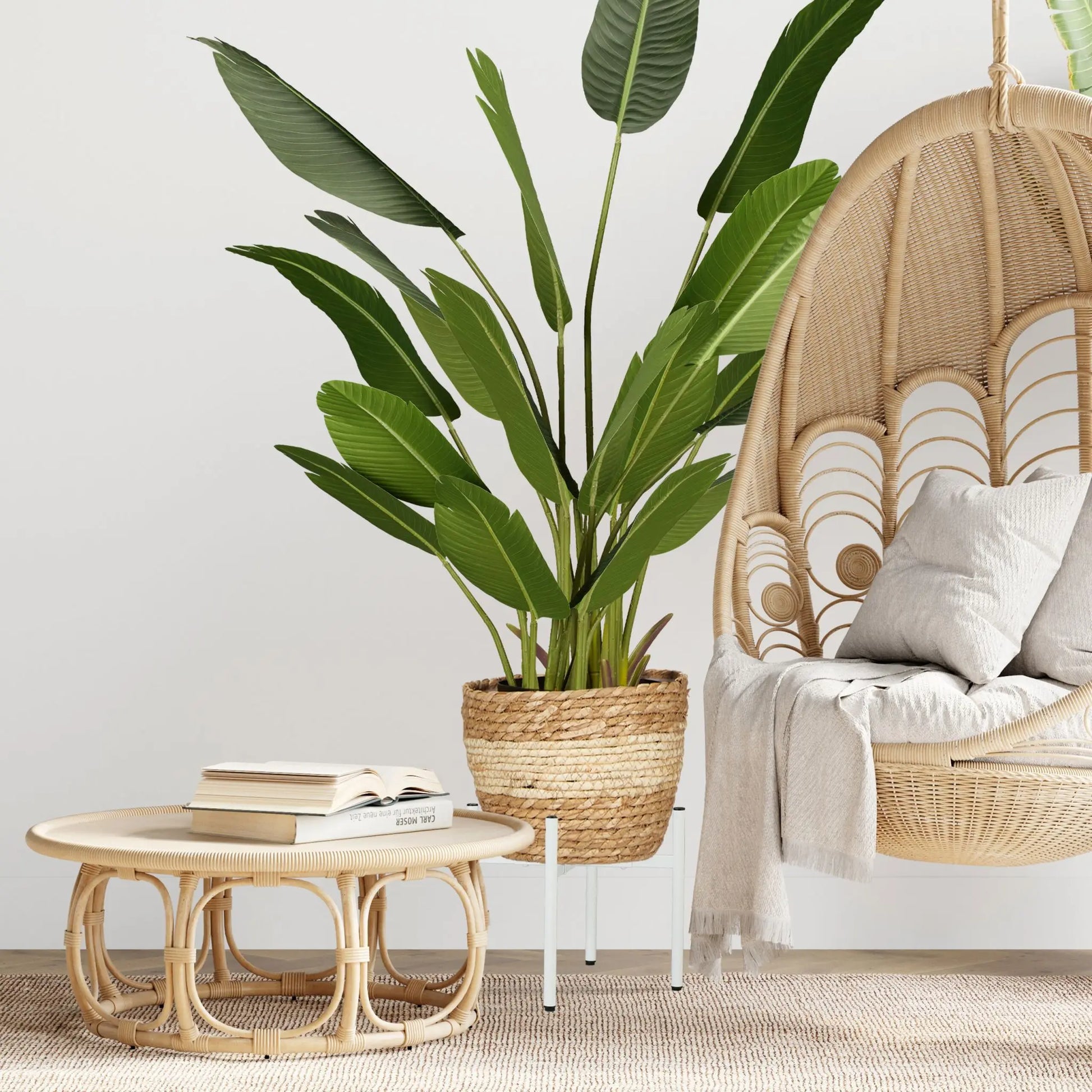 Verstellbarer Pflanzenständer 2er-Set Schwarz von Relaxdays