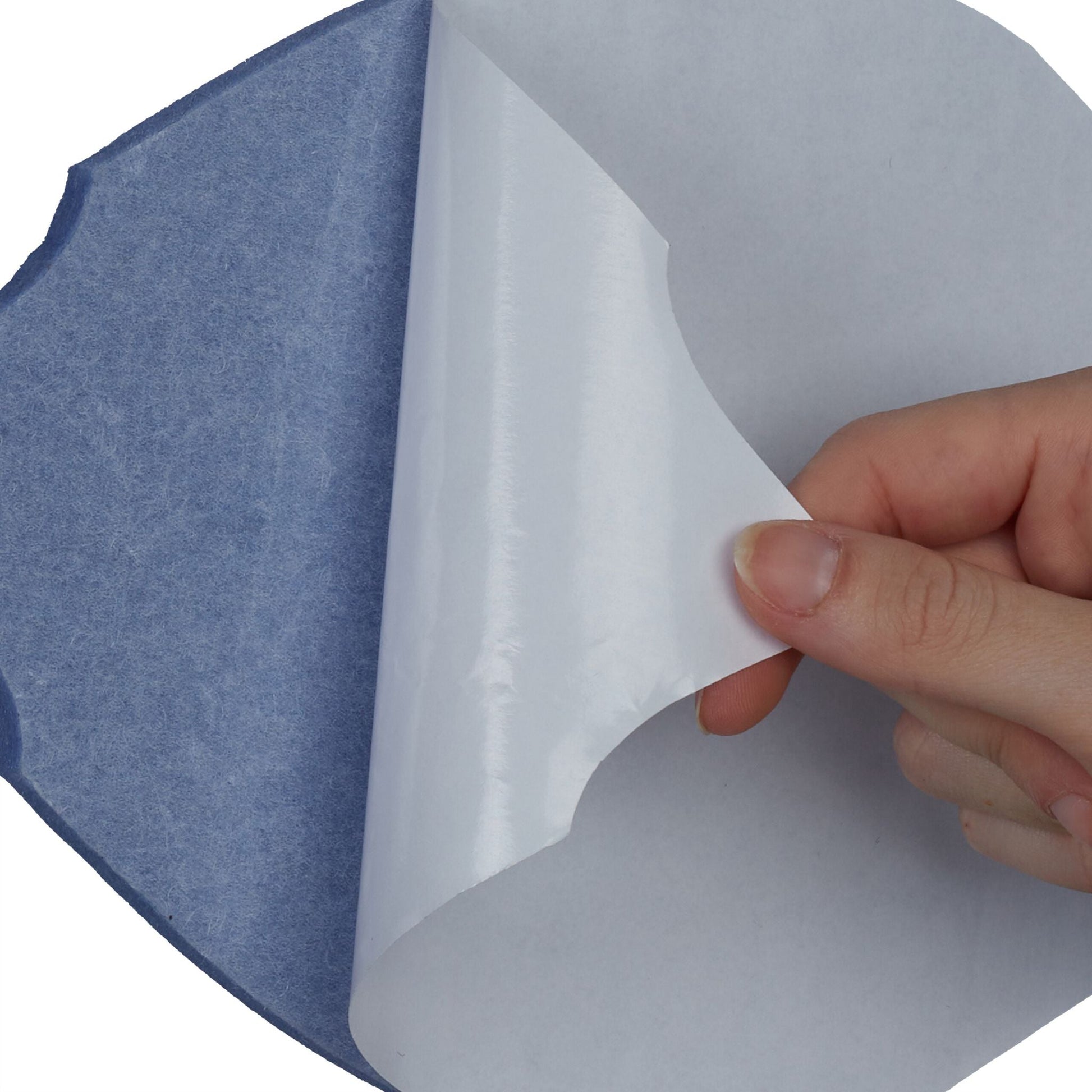 Filzpinnwand Fische 6er-Set Anthrazit-Hellblau-Grau von Relaxdays
