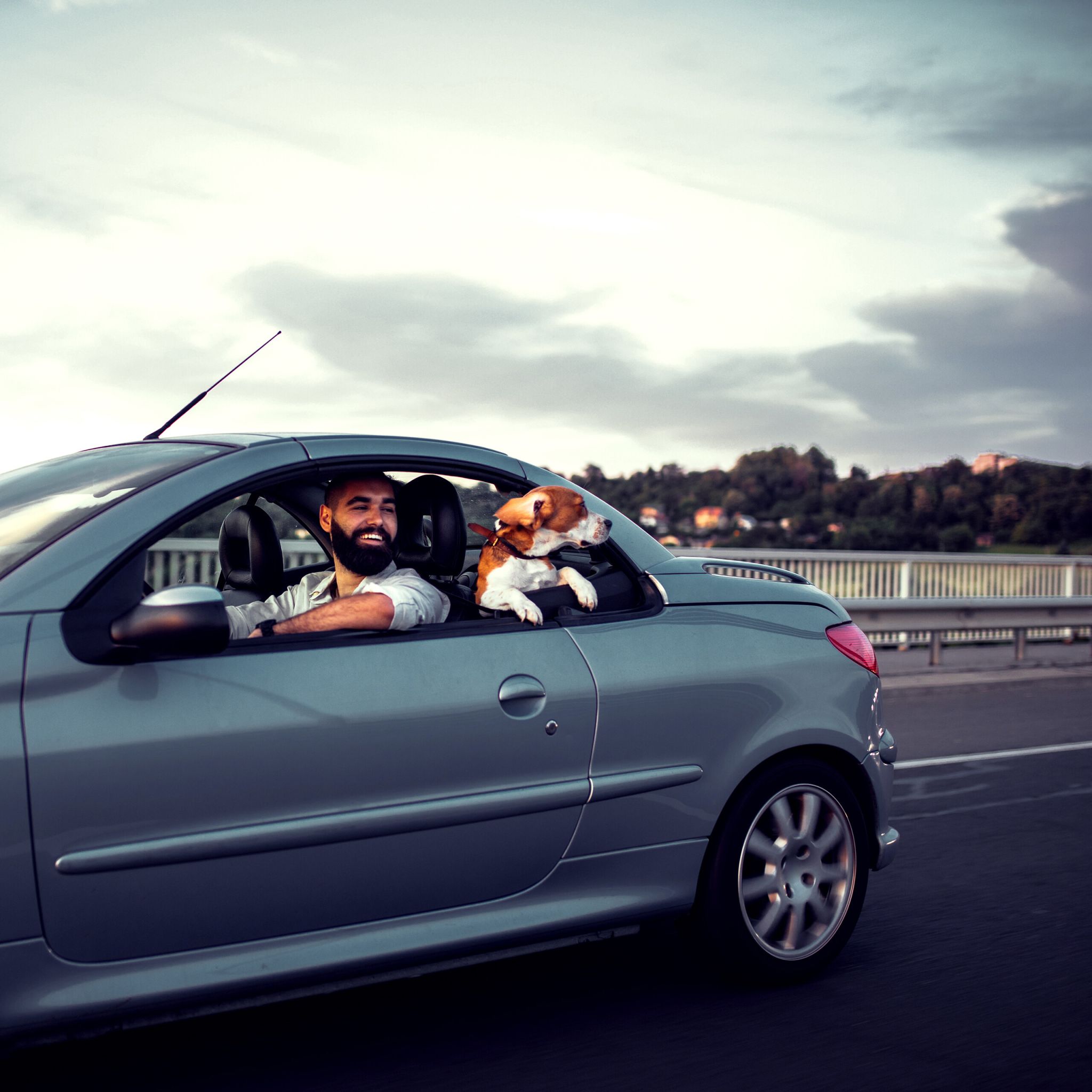 Pedalschloss Auto Silber von Relaxdays